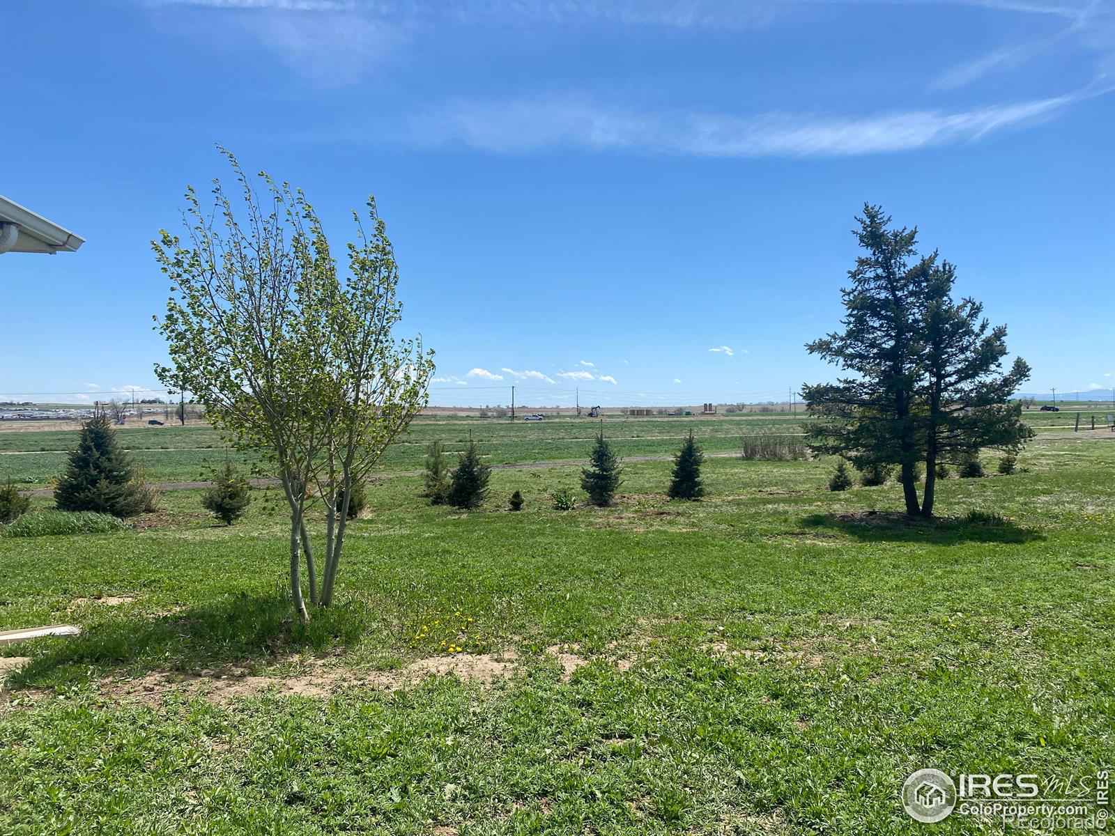 MLS Image #3 for 5671  county road 19 ,fort lupton, Colorado