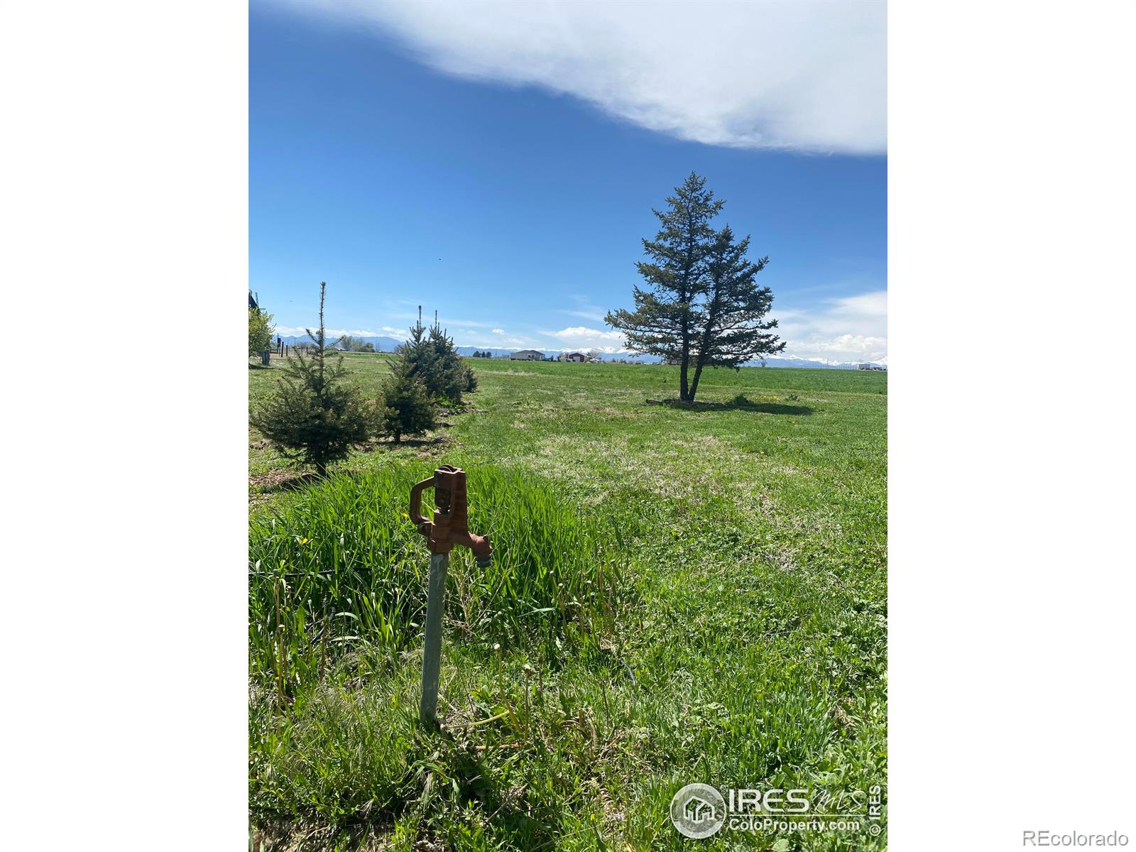 MLS Image #4 for 5671  county road 19 ,fort lupton, Colorado