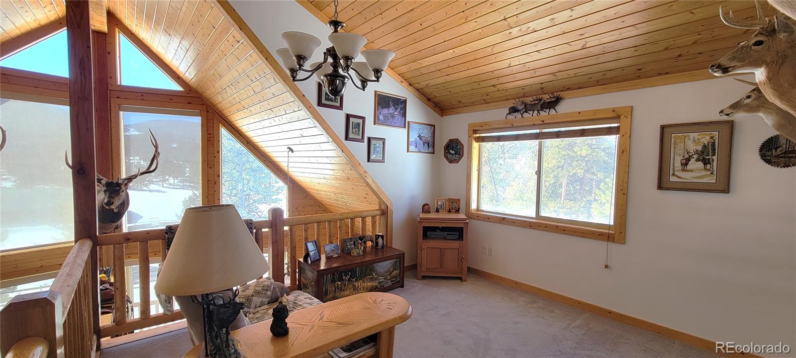 MLS Image #14 for 1321  bristlecone road,guffey, Colorado