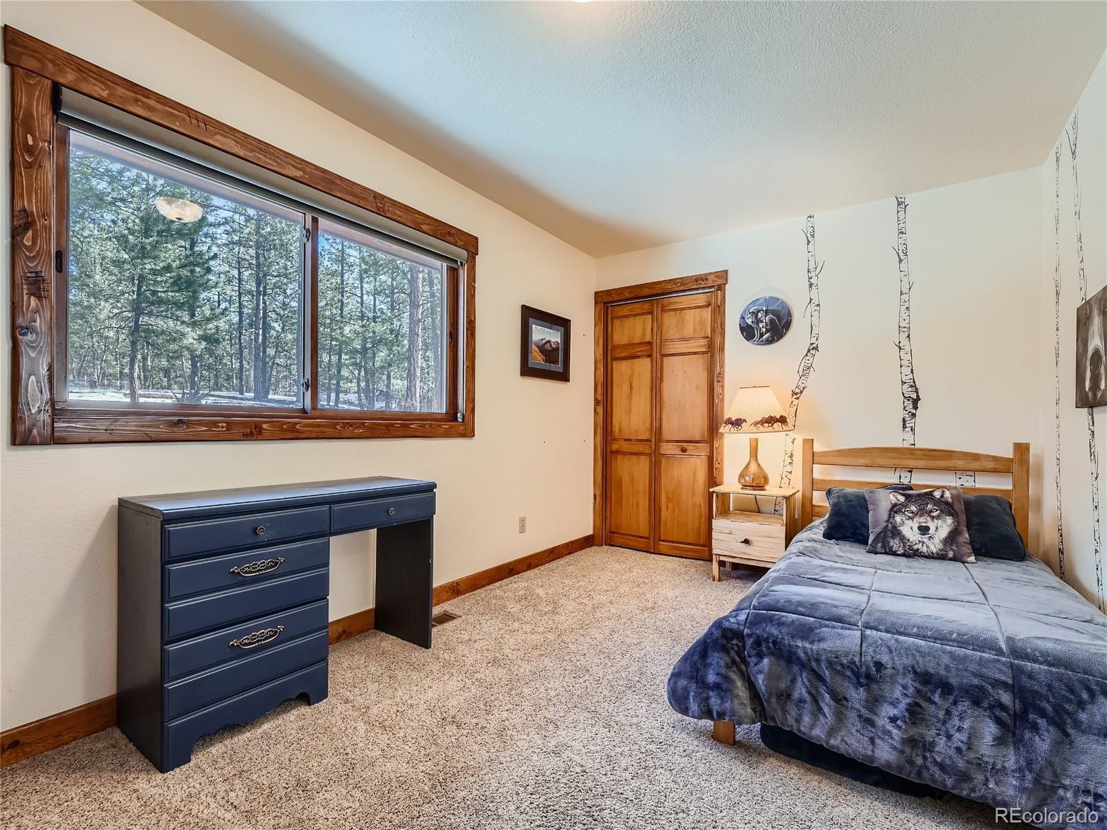 MLS Image #11 for 11443  pine valley drive,franktown, Colorado