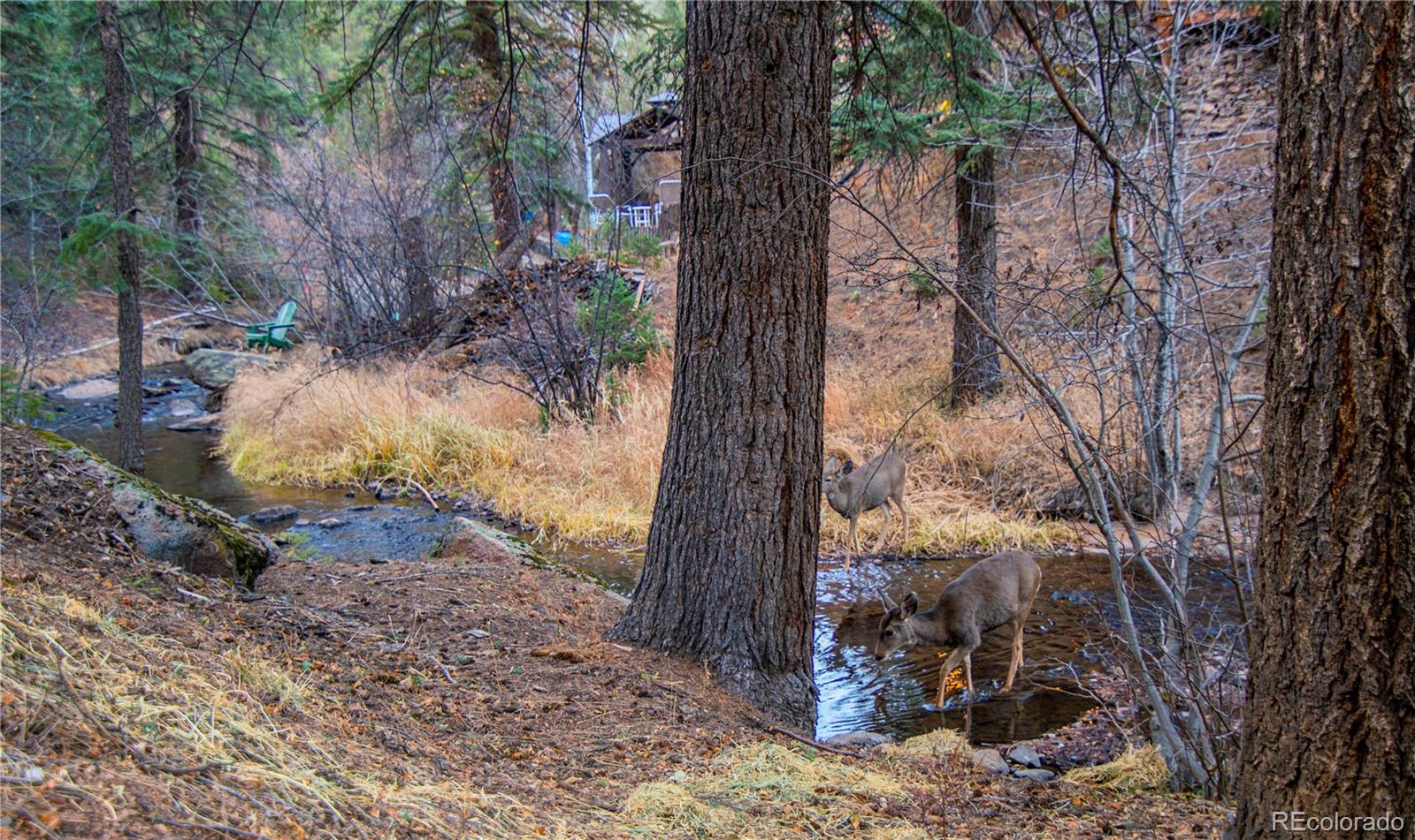 MLS Image #40 for 15925 s elk creek road,pine, Colorado