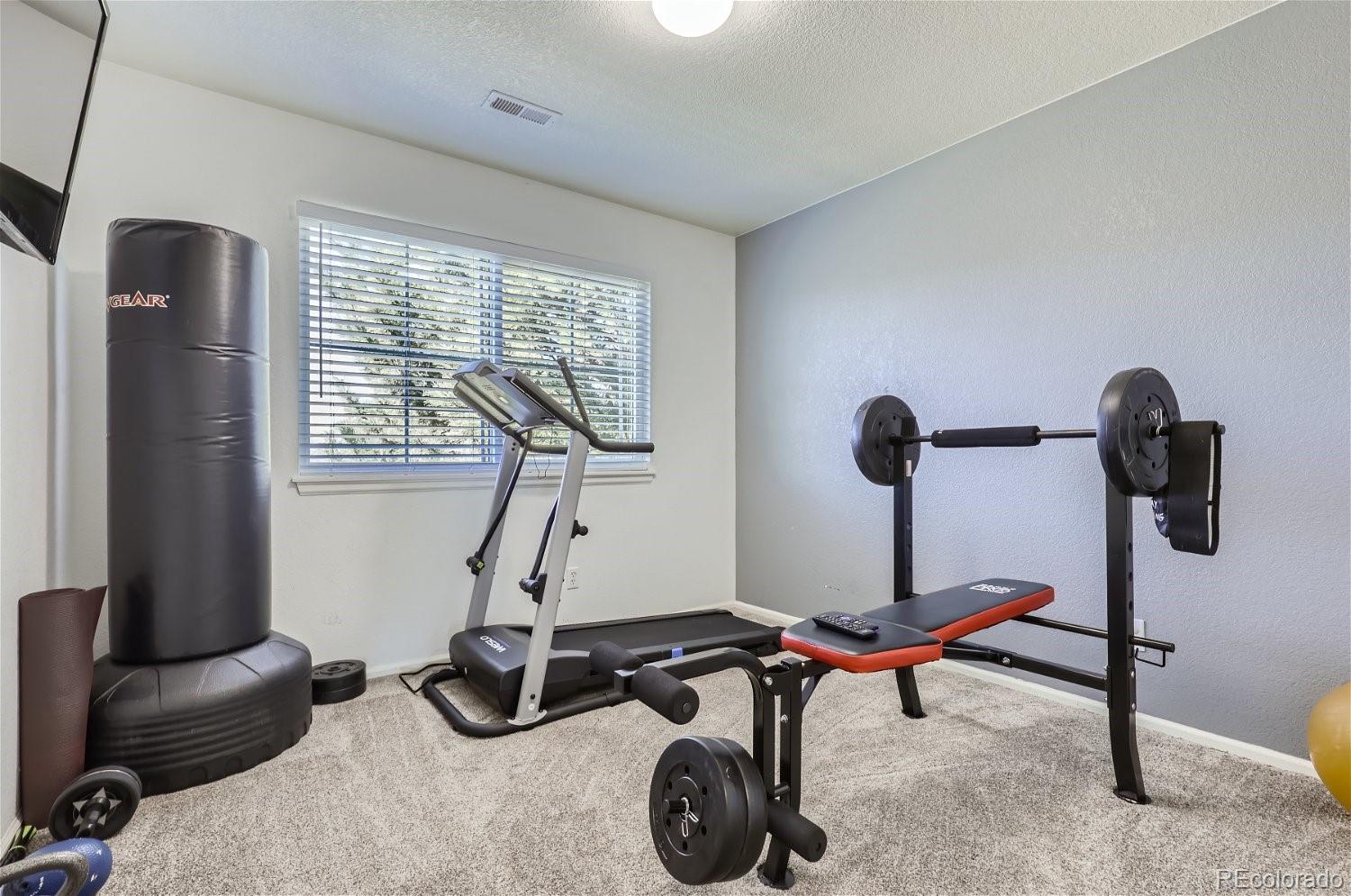 MLS Image #19 for 15573 e 96th way,commerce city, Colorado