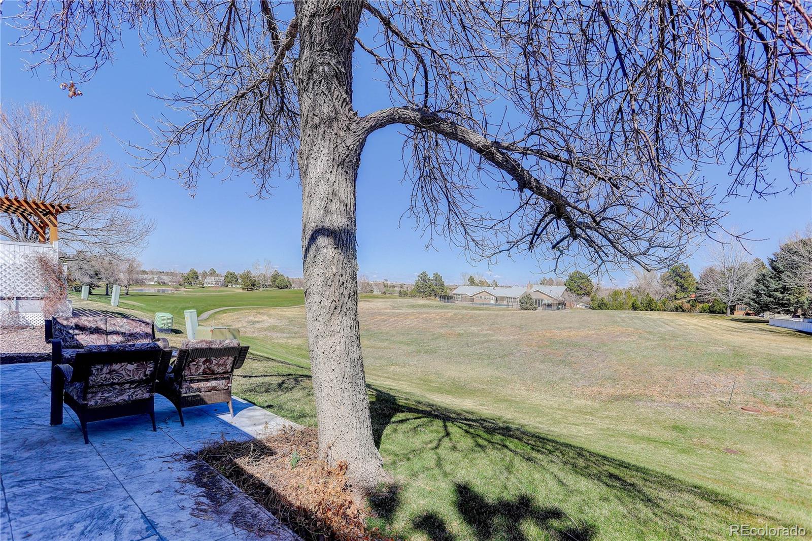 MLS Image #41 for 10  canongate lane,highlands ranch, Colorado