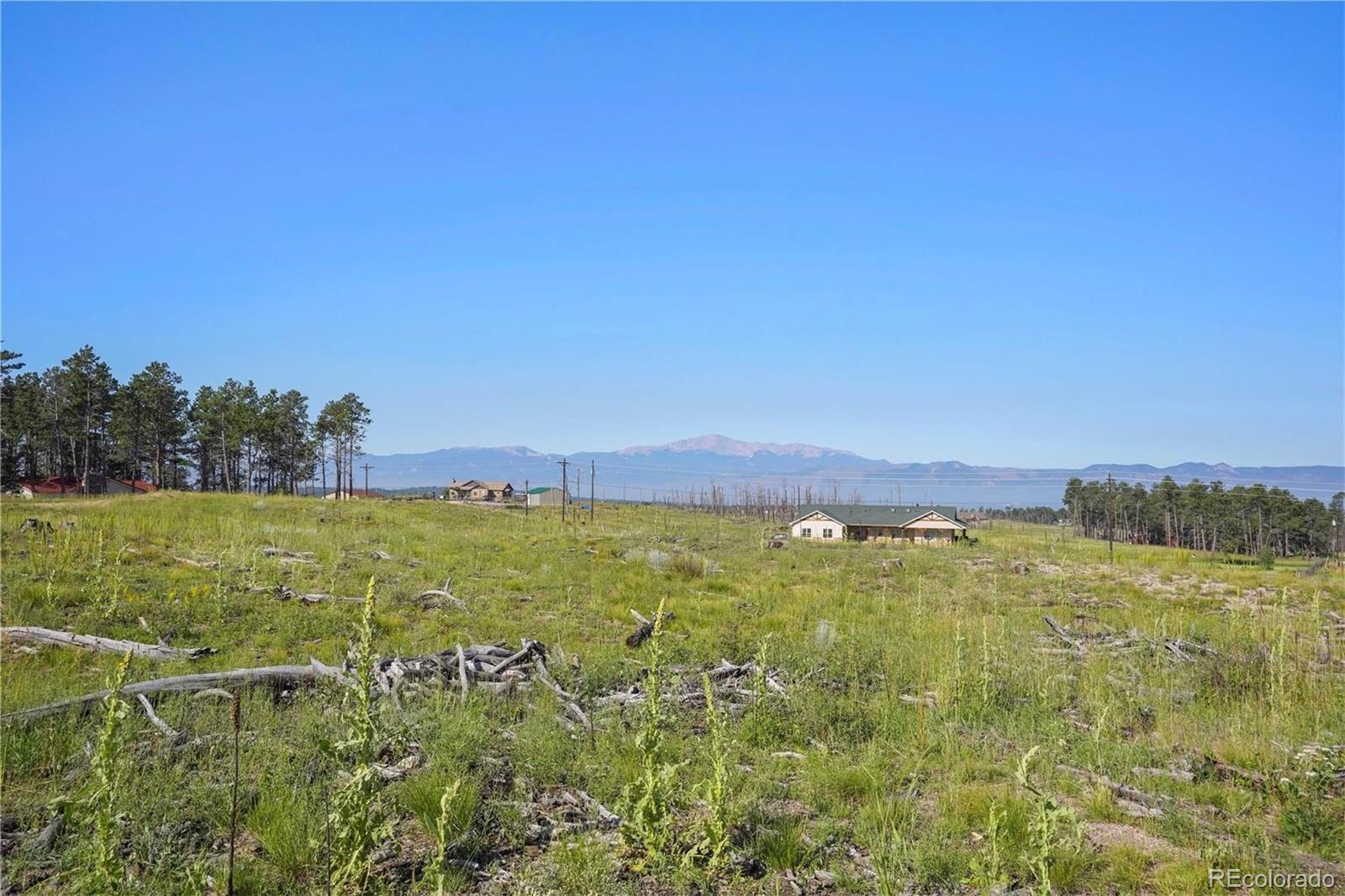 MLS Image #11 for 7830  fairytale heights,, Colorado