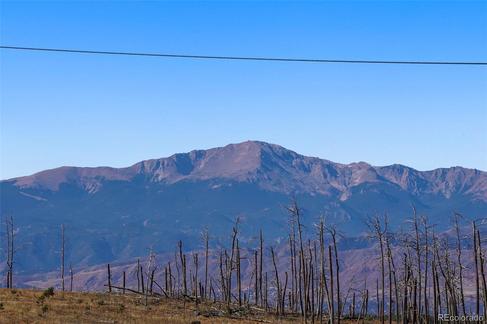 MLS Image #12 for 7830  fairytale heights,, Colorado