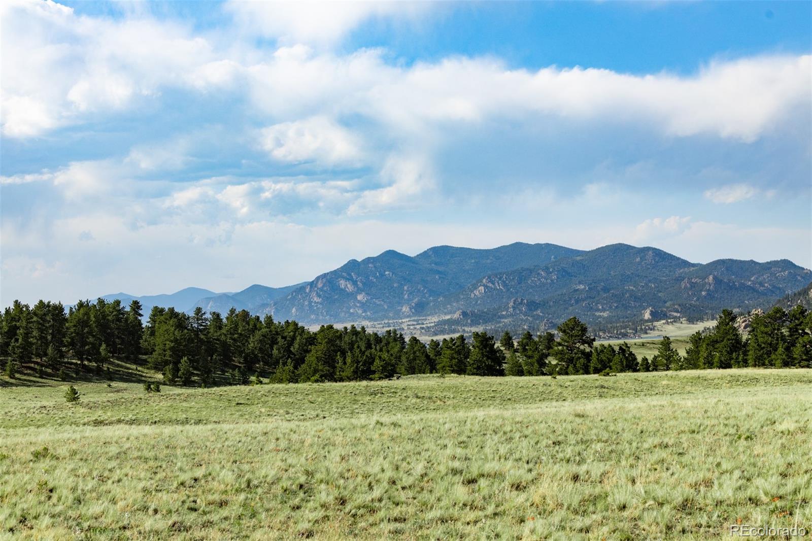 MLS Image #16 for 5681  cr-59 ,florissant, Colorado