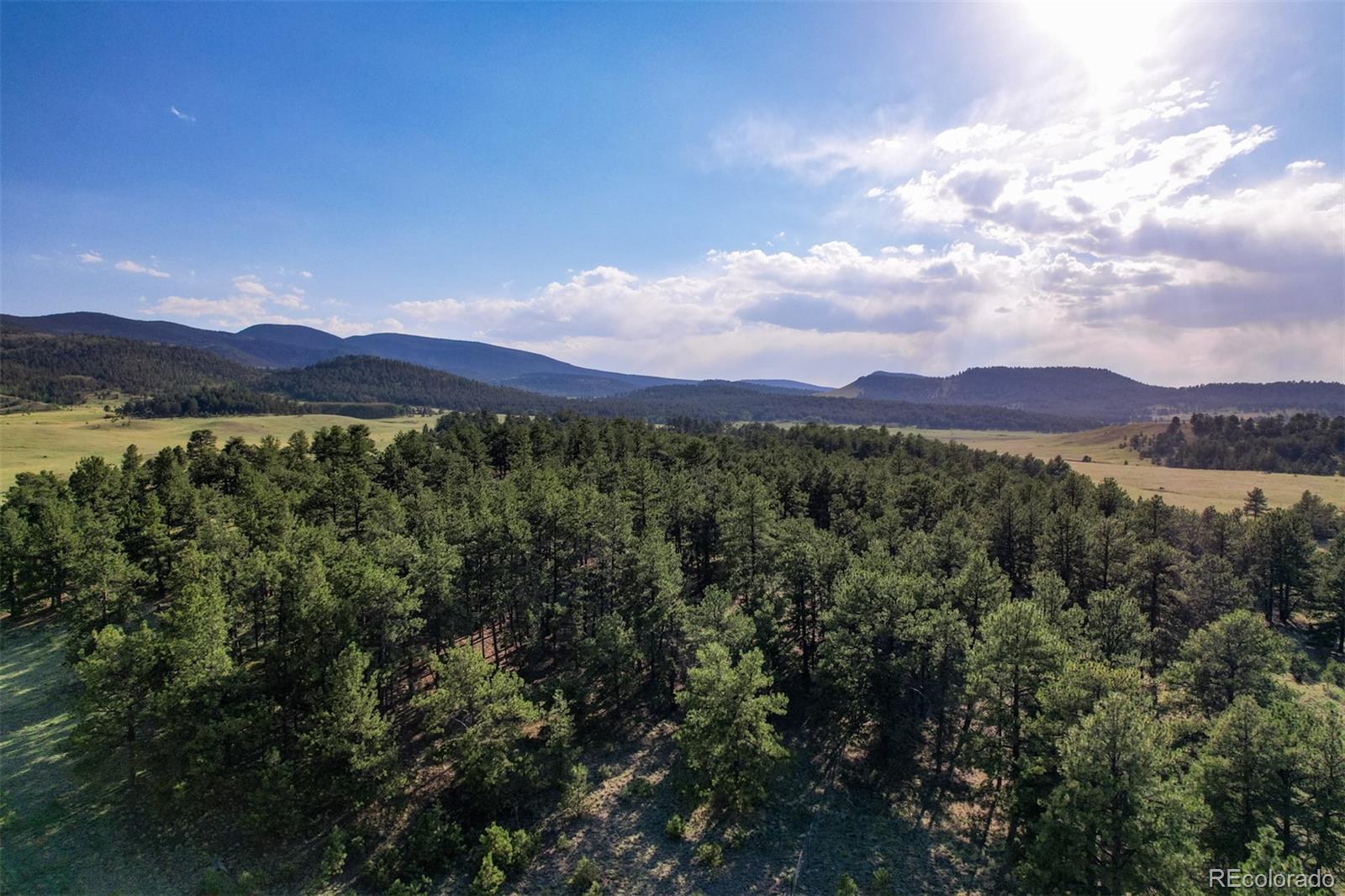 MLS Image #17 for 5681  cr-59 ,florissant, Colorado