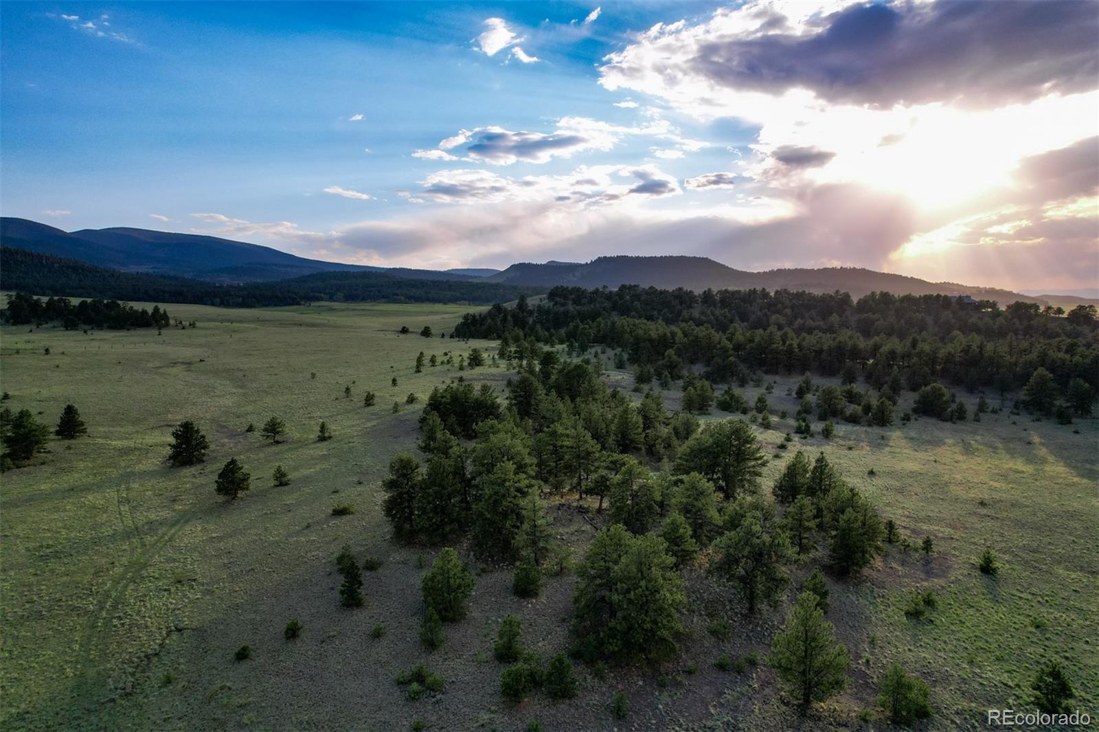 MLS Image #21 for 5681  cr-59 ,florissant, Colorado