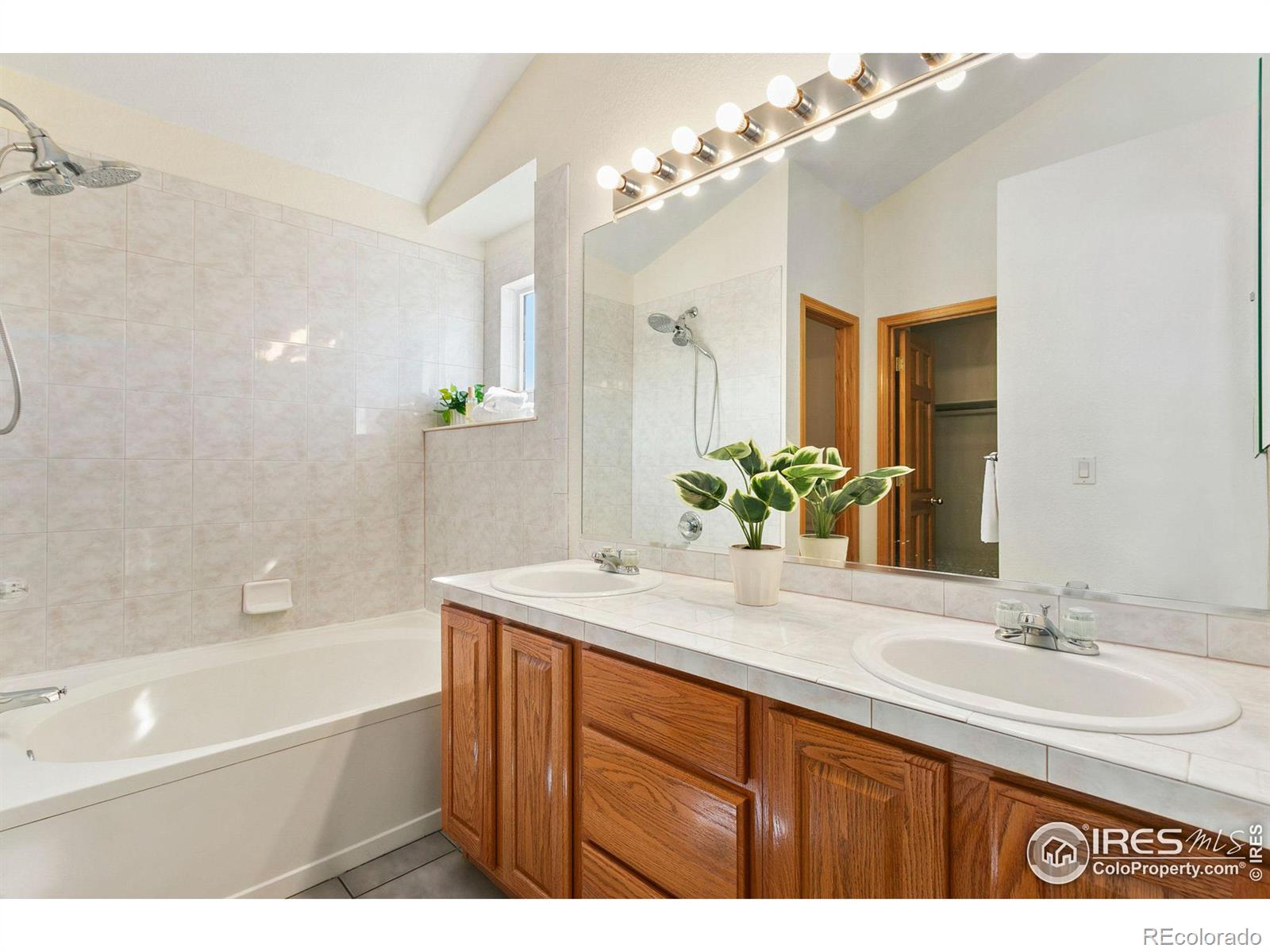 MLS Image #15 for 202  cleopatra street,fort collins, Colorado