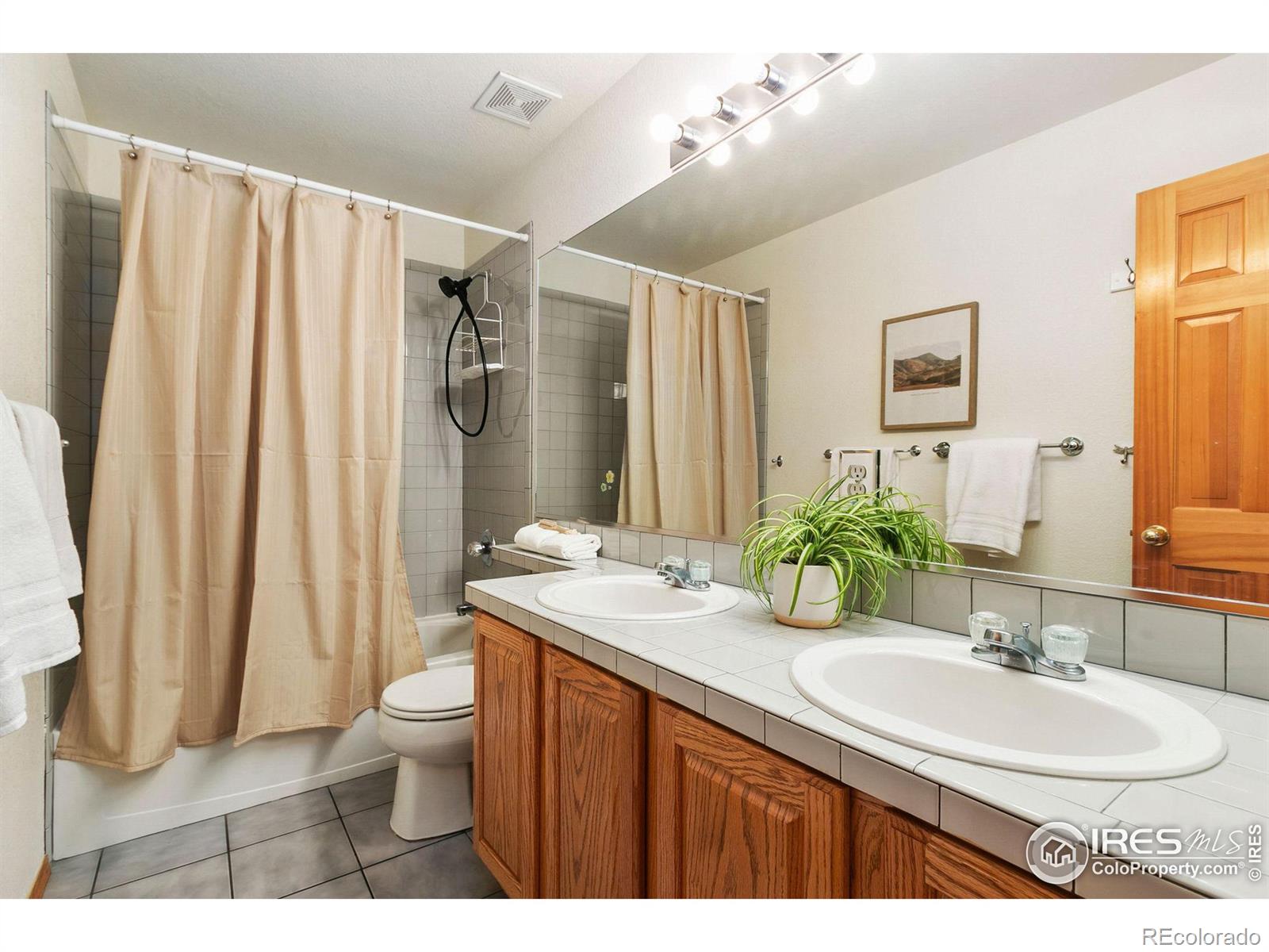 MLS Image #18 for 202  cleopatra street,fort collins, Colorado