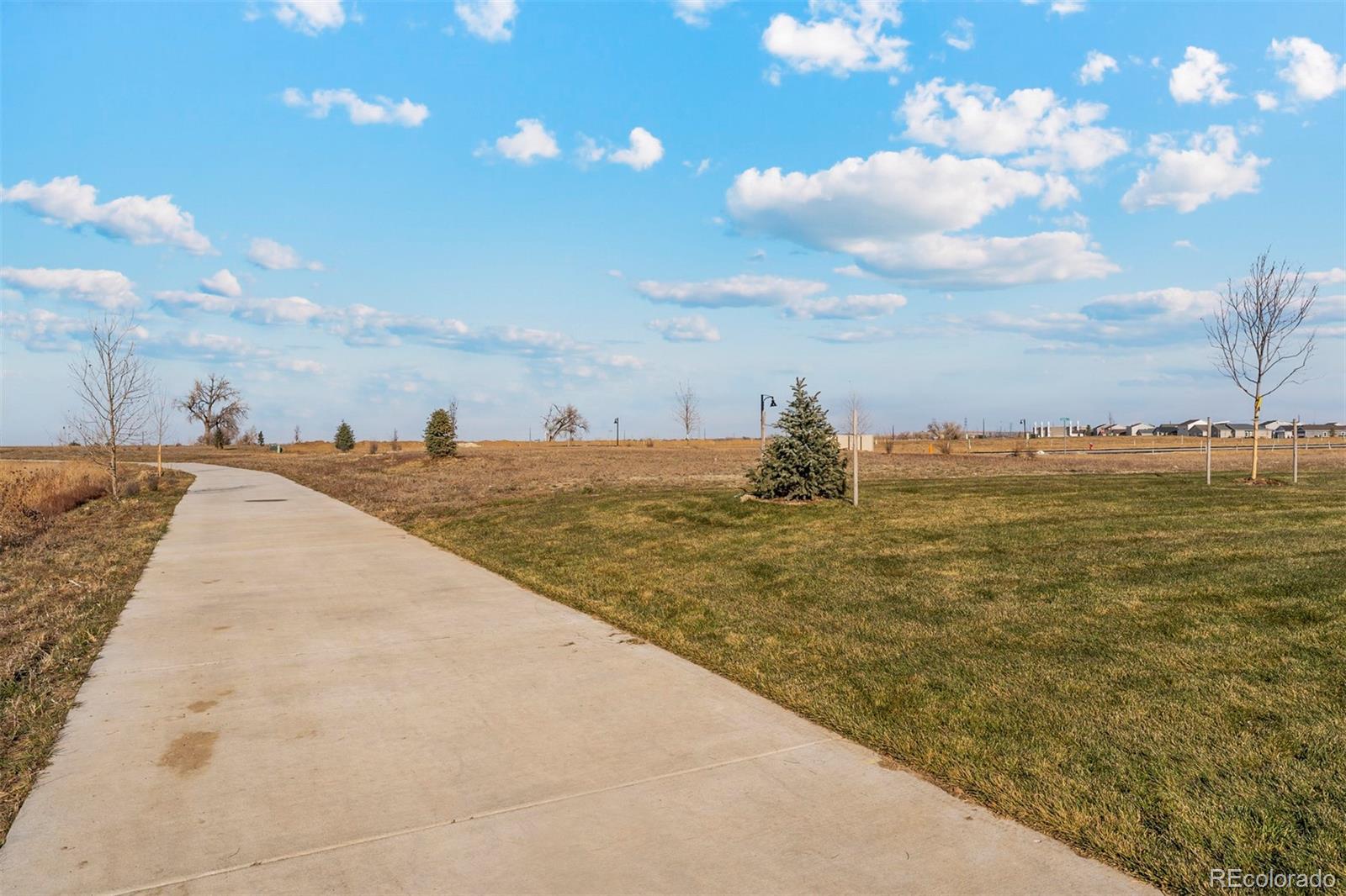 MLS Image #23 for 2460  christina street,fort lupton, Colorado