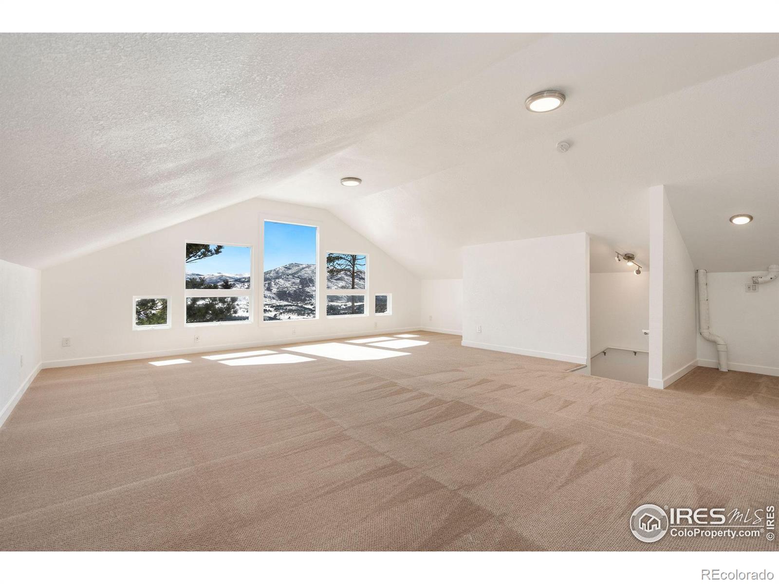 MLS Image #13 for 552  blue grouse lane,bellvue, Colorado