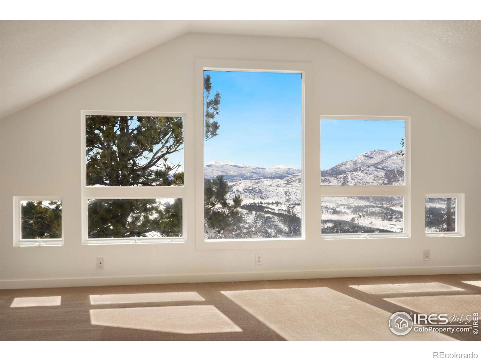 MLS Image #15 for 552  blue grouse lane,bellvue, Colorado