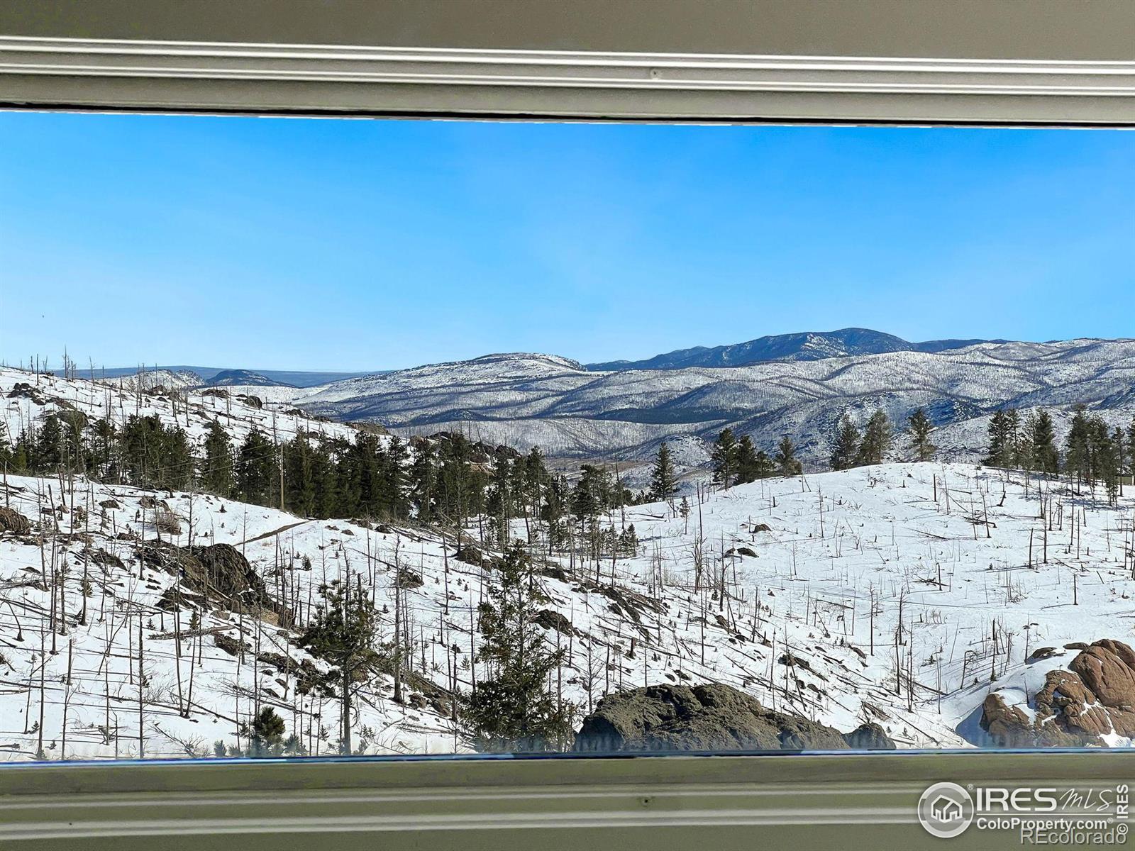 MLS Image #26 for 552  blue grouse lane,bellvue, Colorado