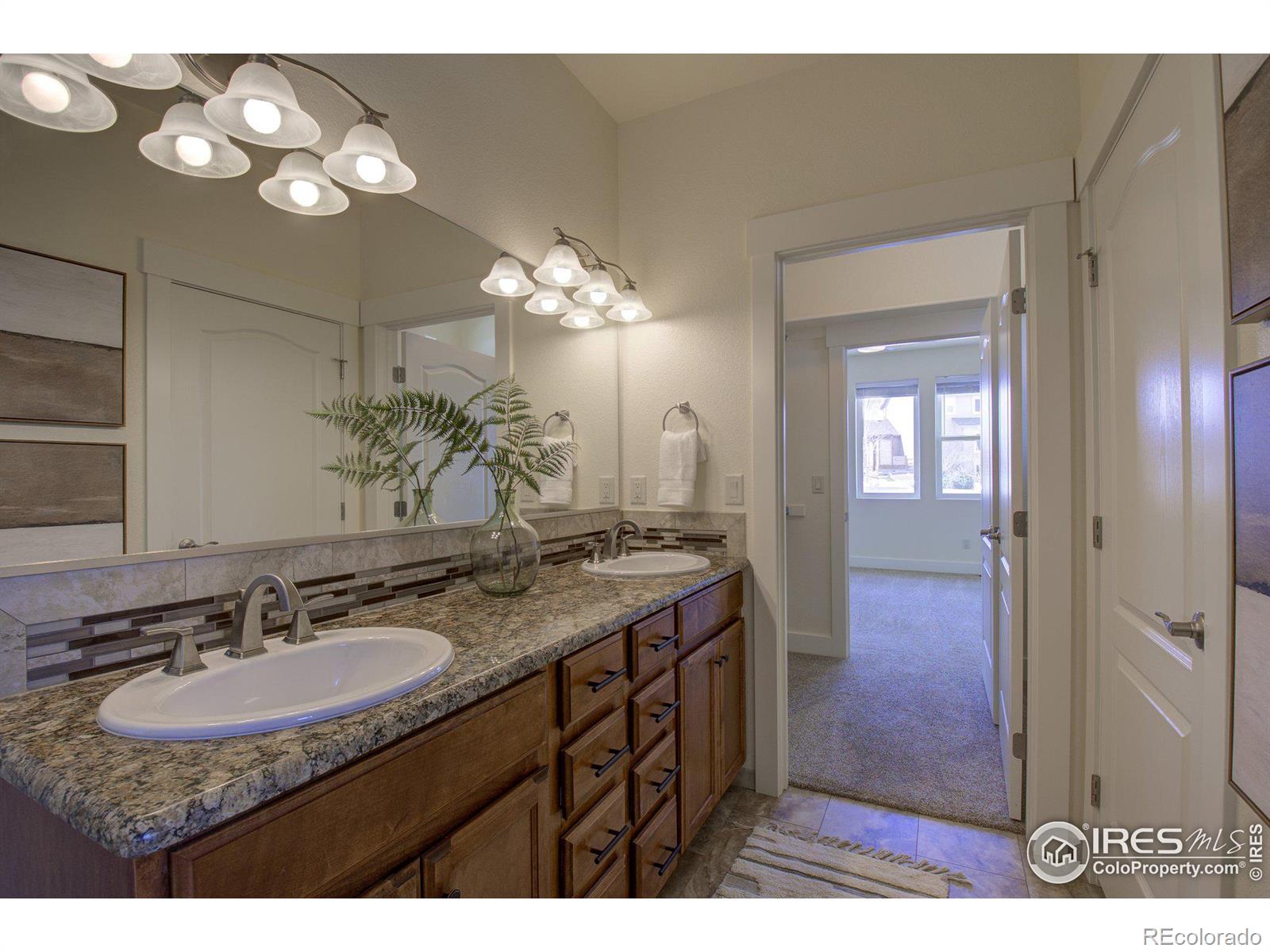 MLS Image #19 for 7401  turnbull court,windsor, Colorado
