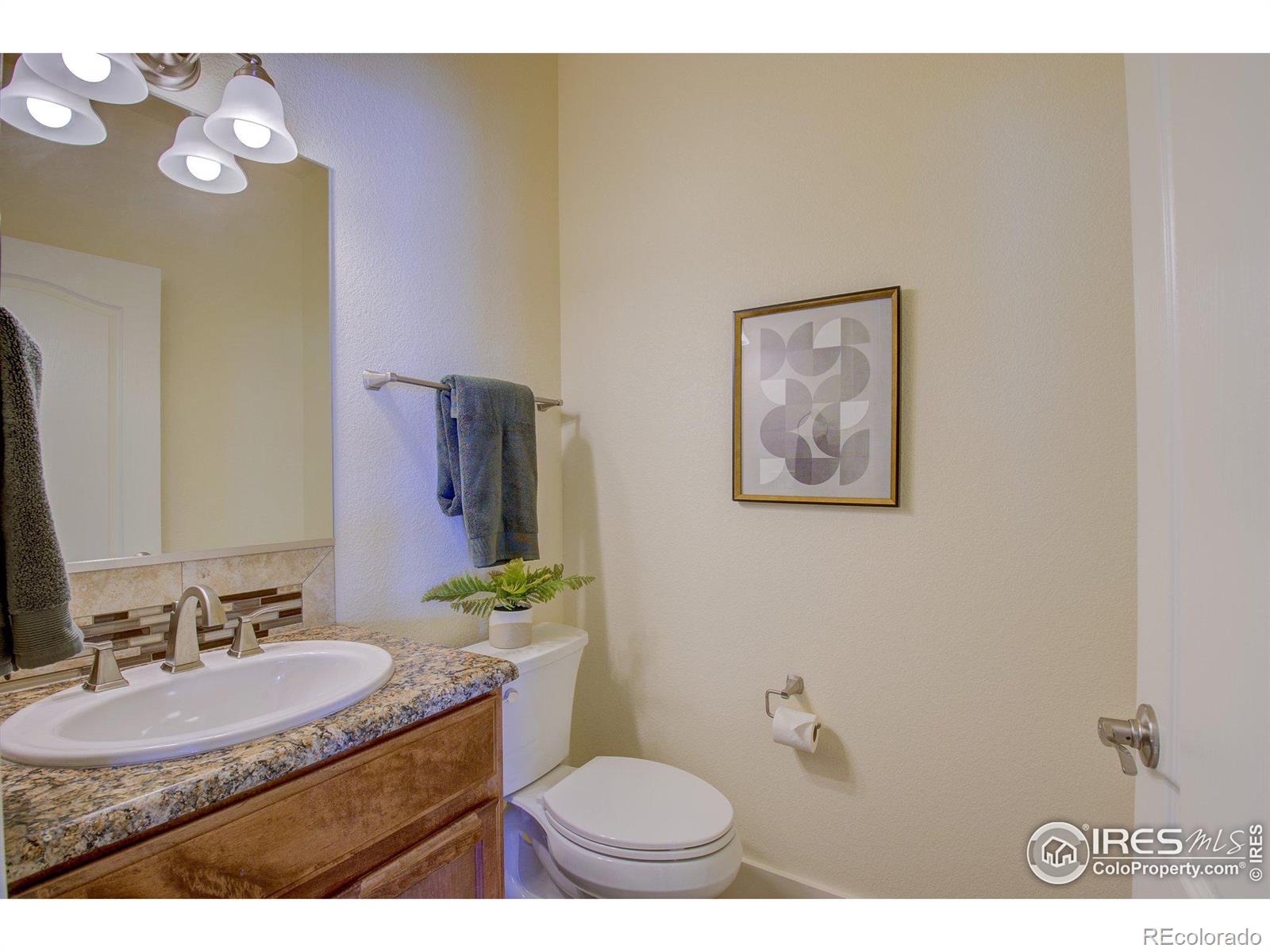 MLS Image #21 for 7401  turnbull court,windsor, Colorado