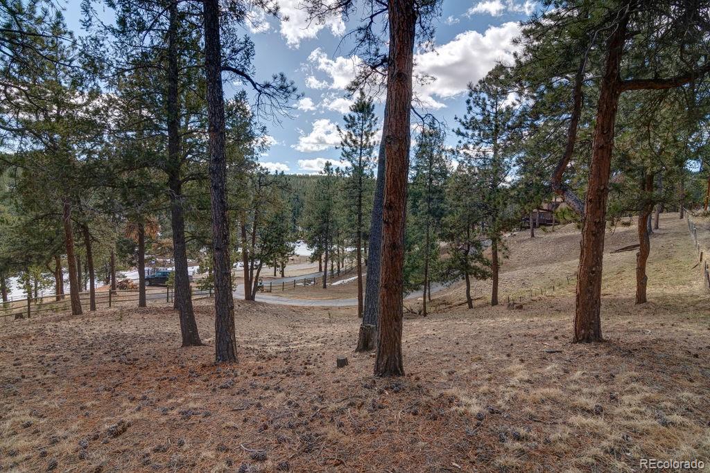 MLS Image #47 for 497  woodside drive,pine, Colorado