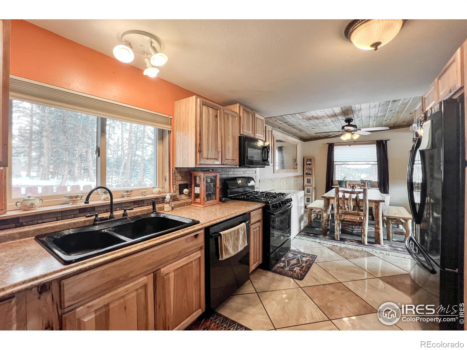 MLS Image #10 for 94  chetan court,red feather lakes, Colorado