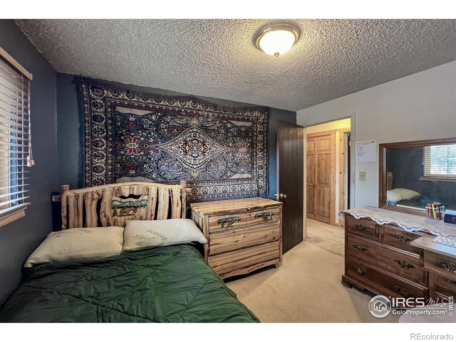 MLS Image #18 for 94  chetan court,red feather lakes, Colorado