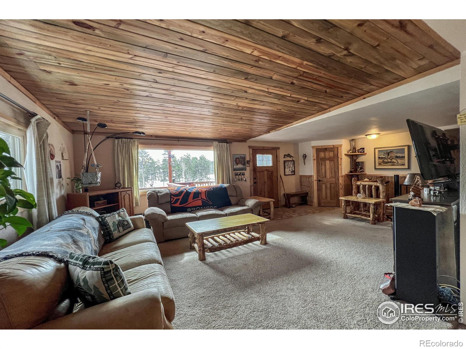 MLS Image #3 for 94  chetan court,red feather lakes, Colorado