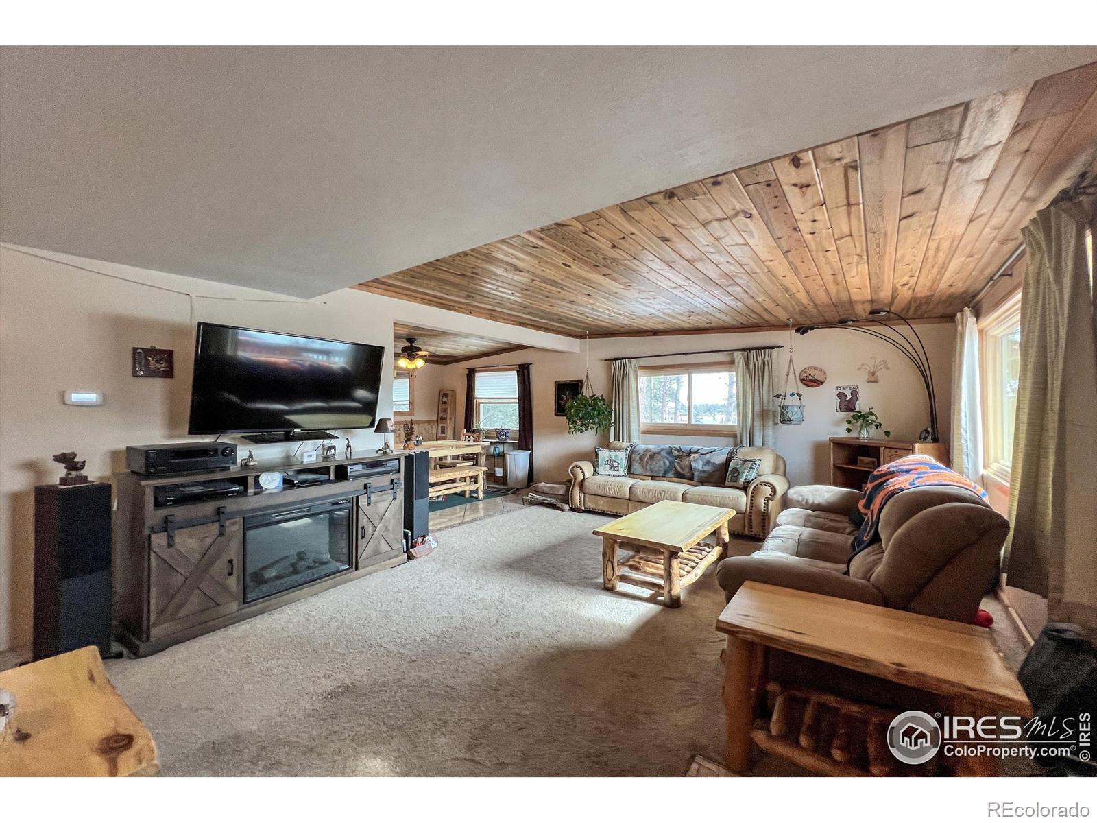 MLS Image #4 for 94  chetan court,red feather lakes, Colorado