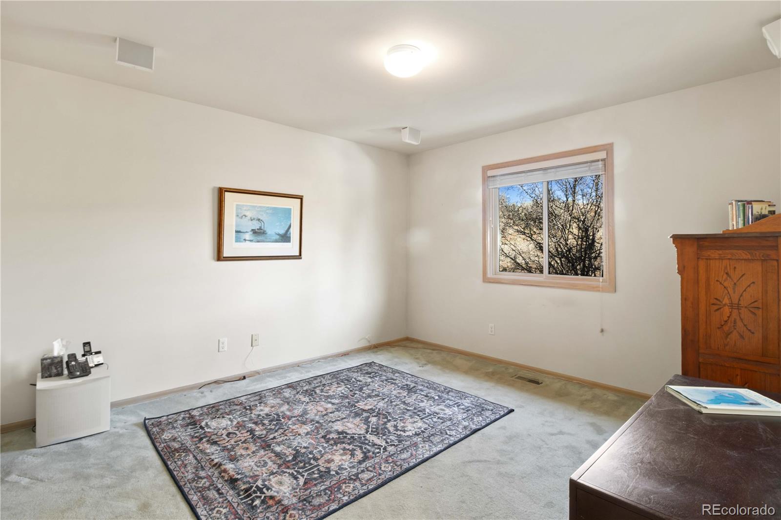 MLS Image #13 for 103  prince drive,carbondale, Colorado