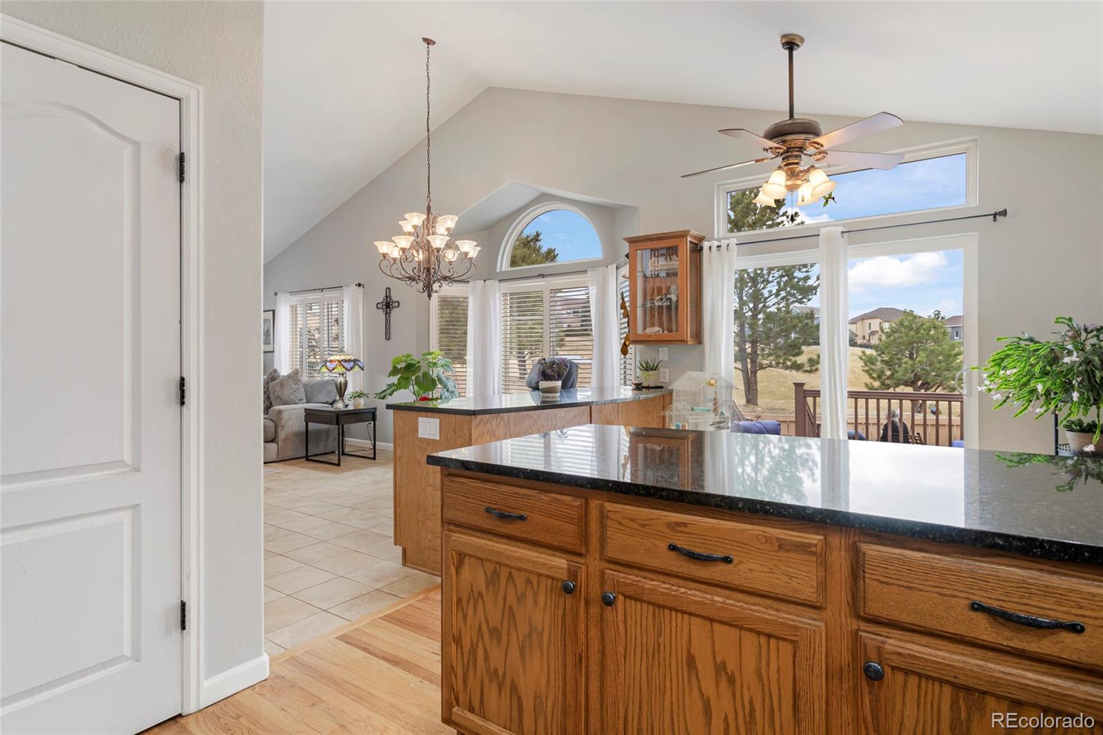 MLS Image #21 for 3200  masters point,castle rock, Colorado
