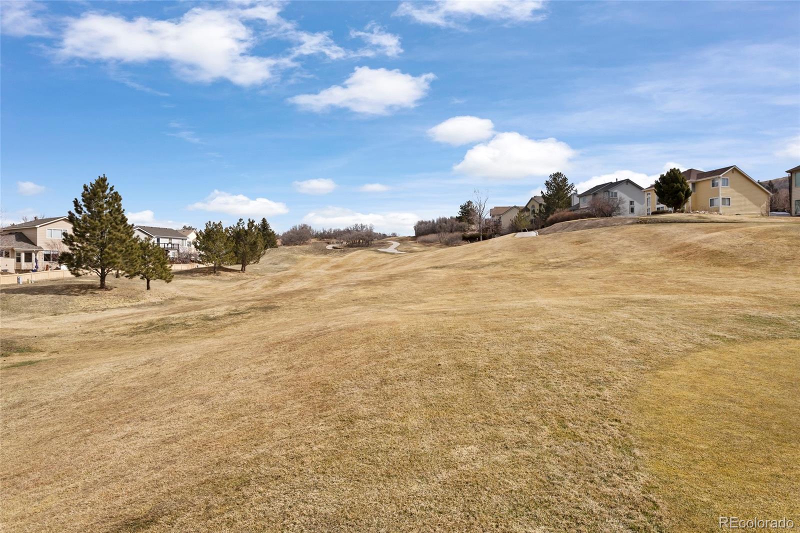 MLS Image #7 for 3200  masters point,castle rock, Colorado