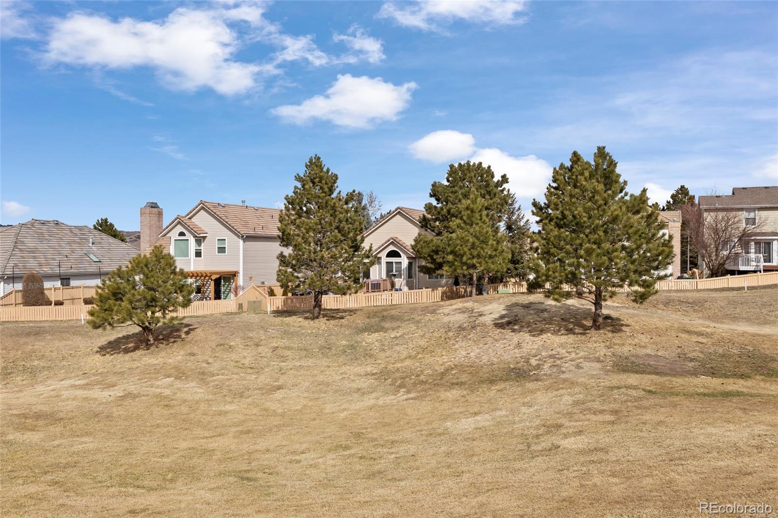 MLS Image #8 for 3200  masters point,castle rock, Colorado