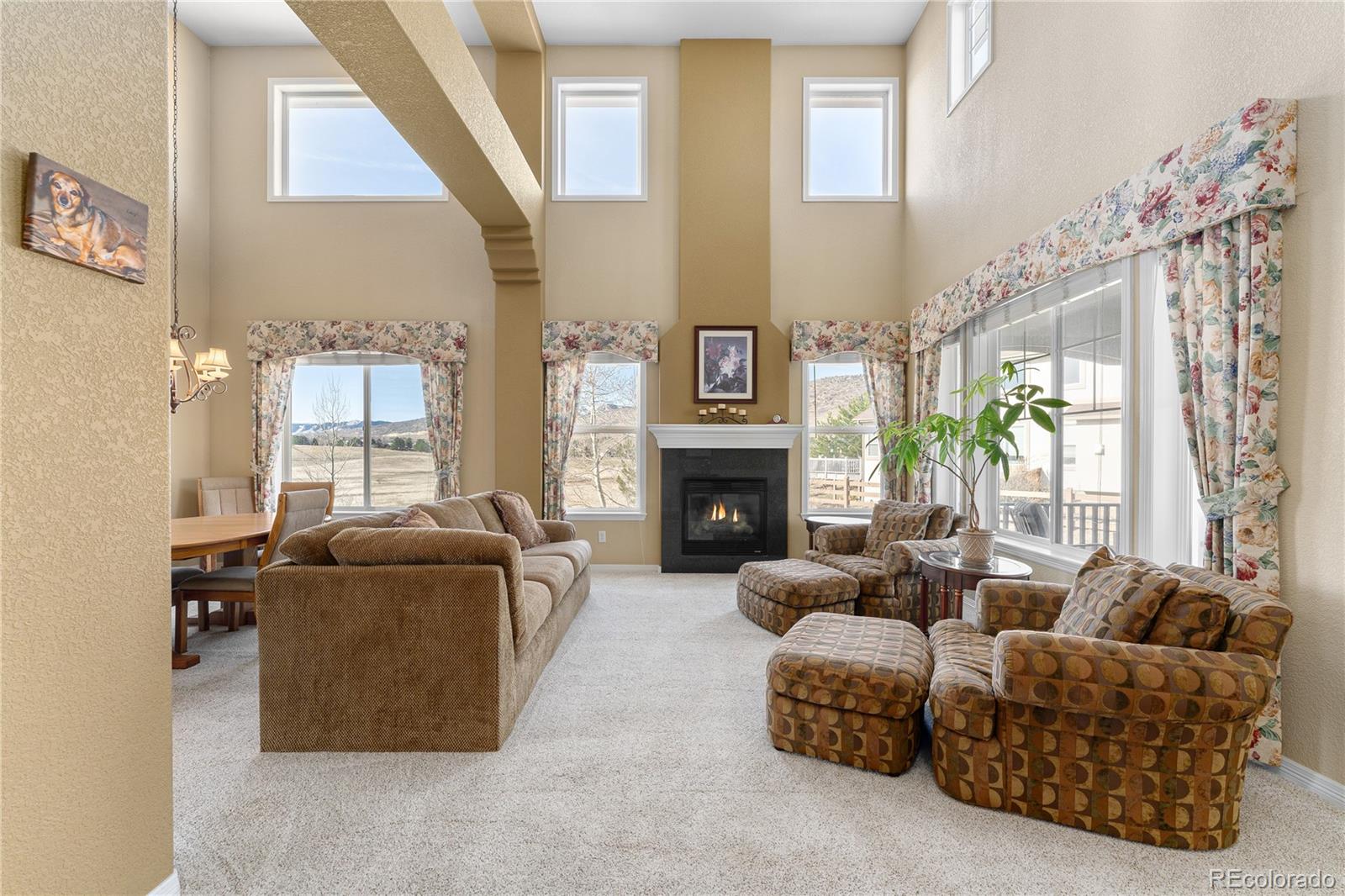MLS Image #5 for 9422 s holland way,littleton, Colorado