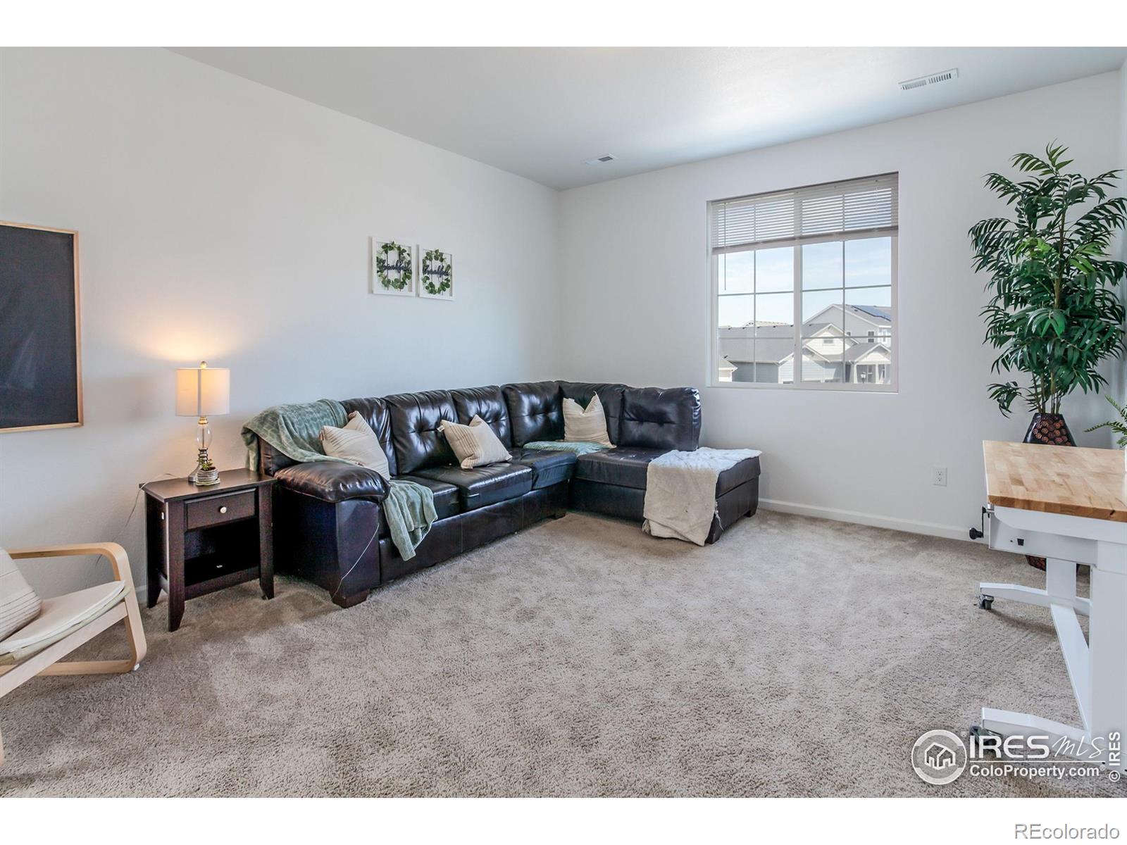 MLS Image #18 for 1830  thrive drive,windsor, Colorado
