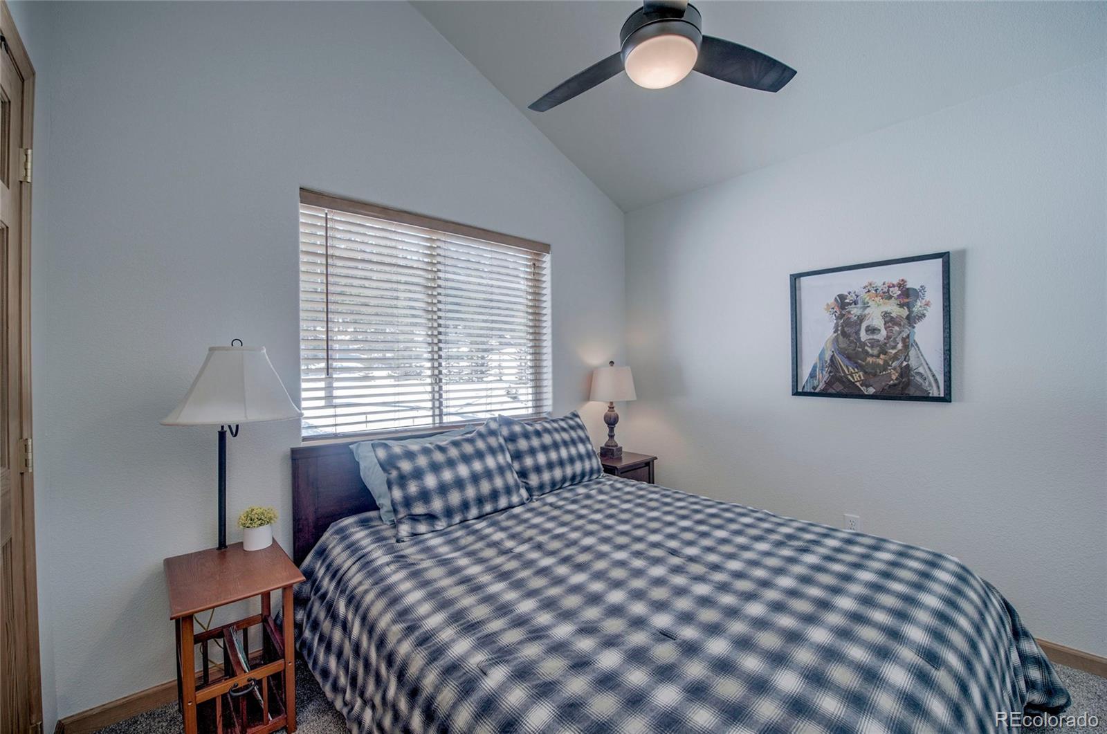 MLS Image #16 for 126  silverheels place,fairplay, Colorado