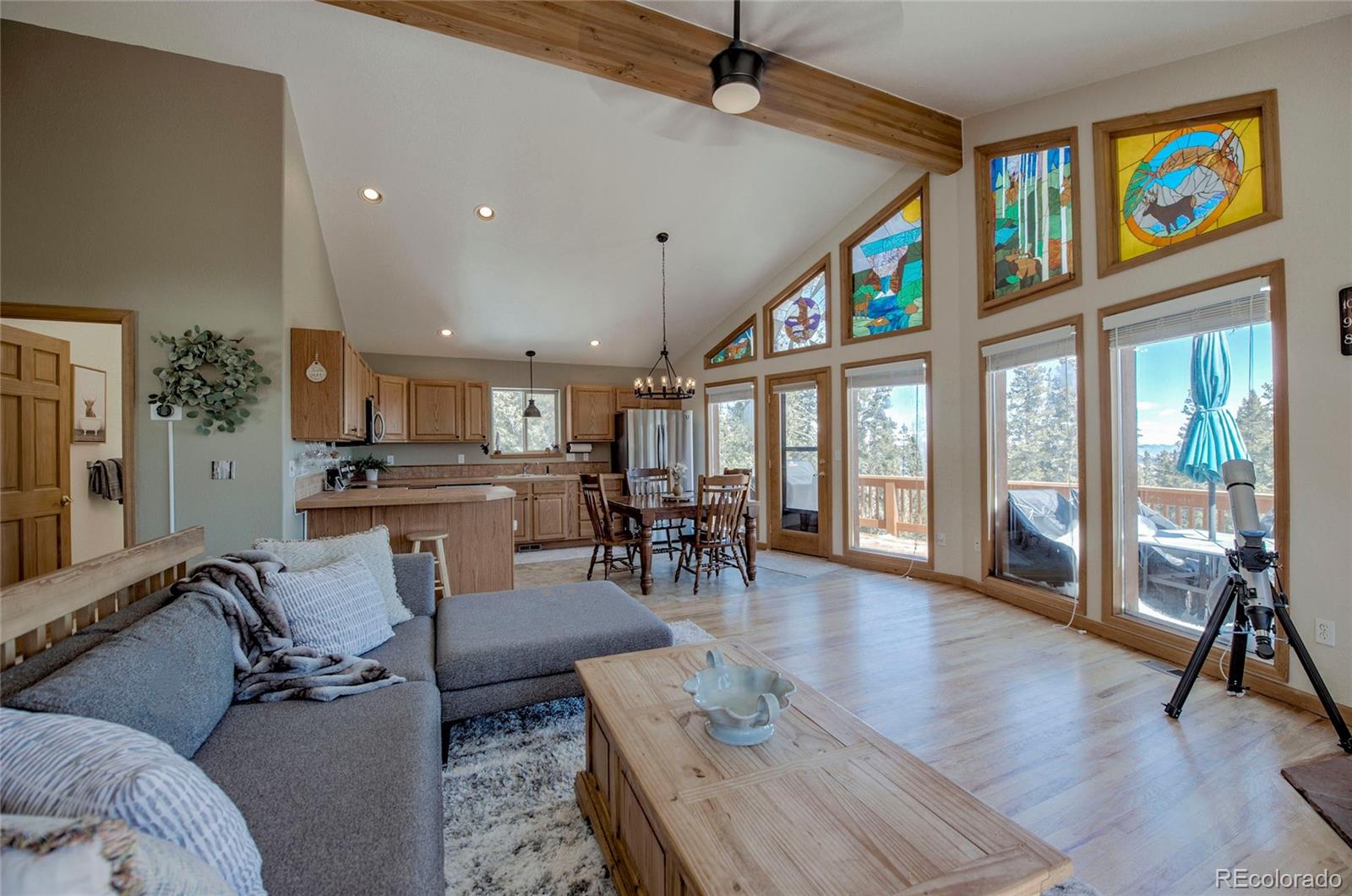 MLS Image #2 for 126  silverheels place,fairplay, Colorado