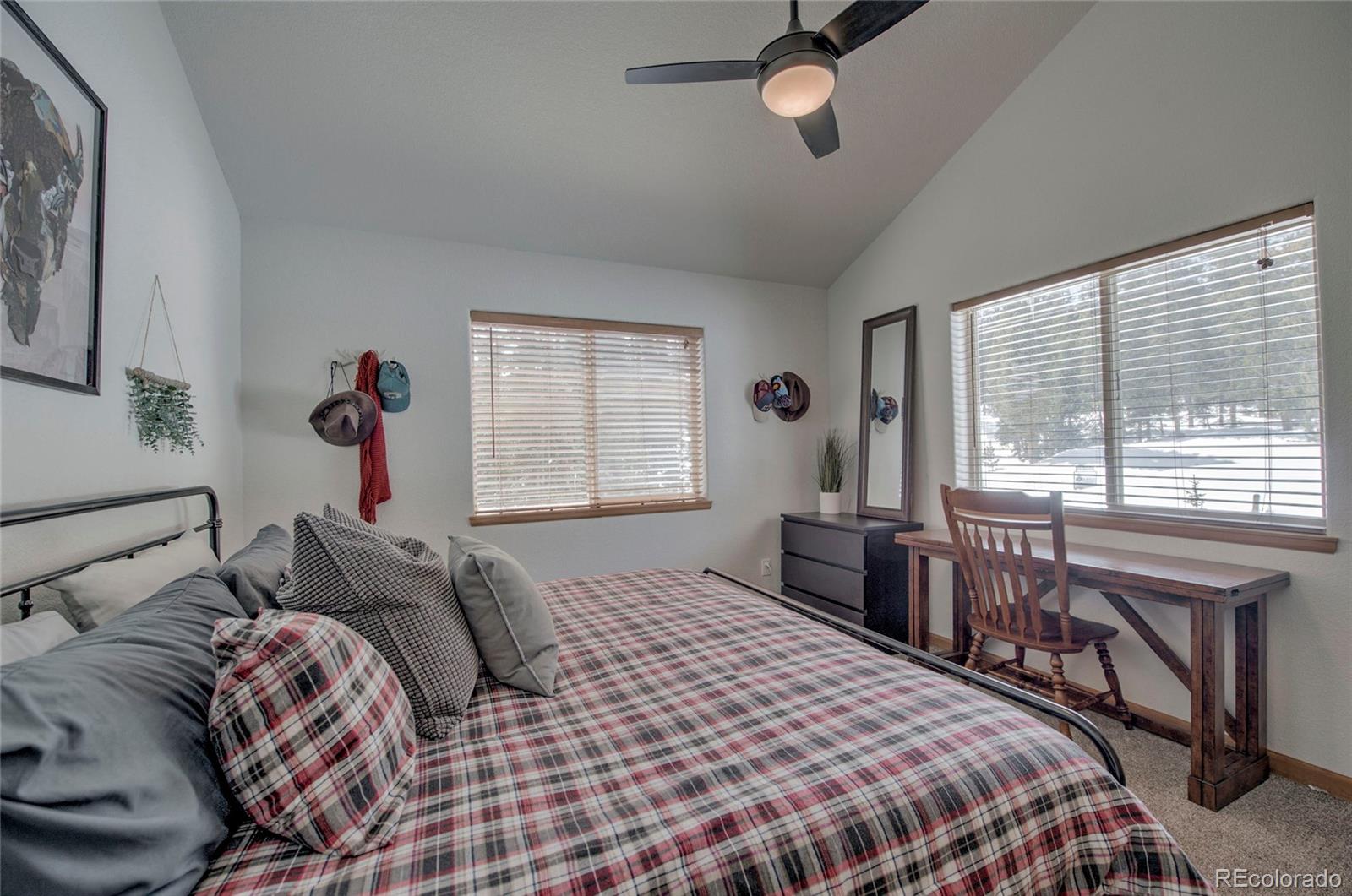 MLS Image #20 for 126  silverheels place,fairplay, Colorado