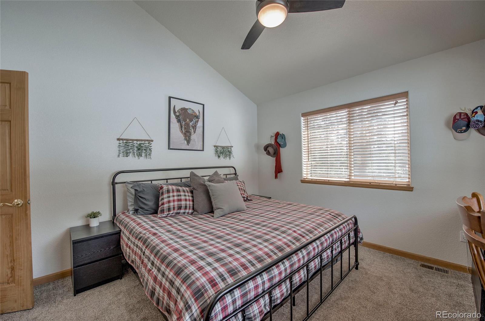 MLS Image #21 for 126  silverheels place,fairplay, Colorado