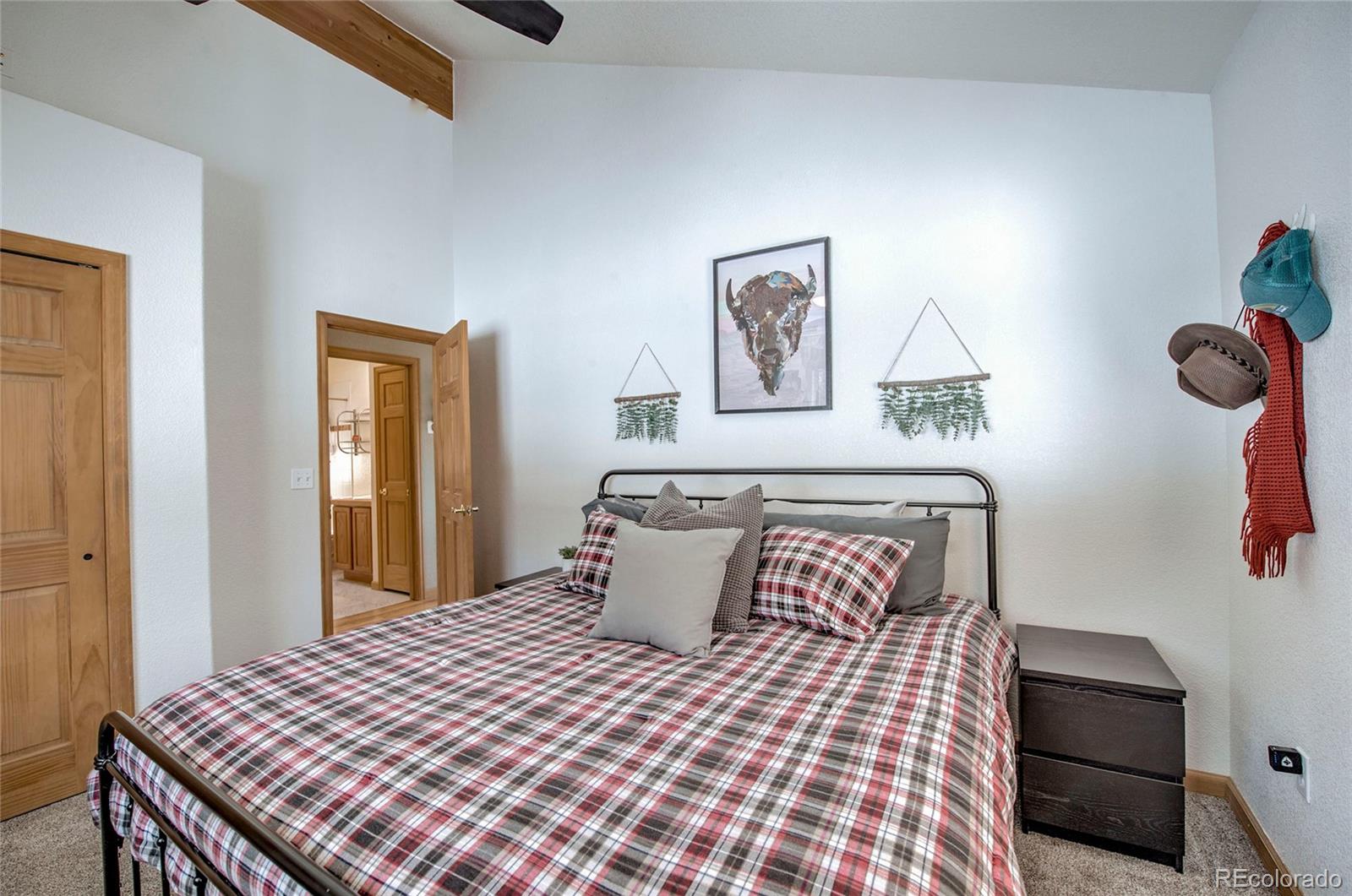 MLS Image #22 for 126  silverheels place,fairplay, Colorado