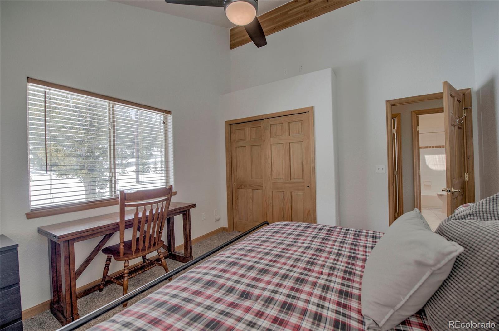 MLS Image #23 for 126  silverheels place,fairplay, Colorado