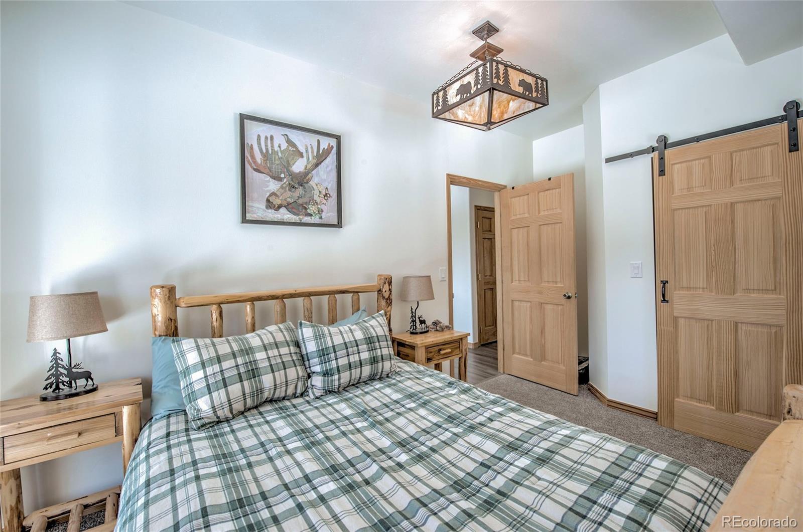 MLS Image #33 for 126  silverheels place,fairplay, Colorado