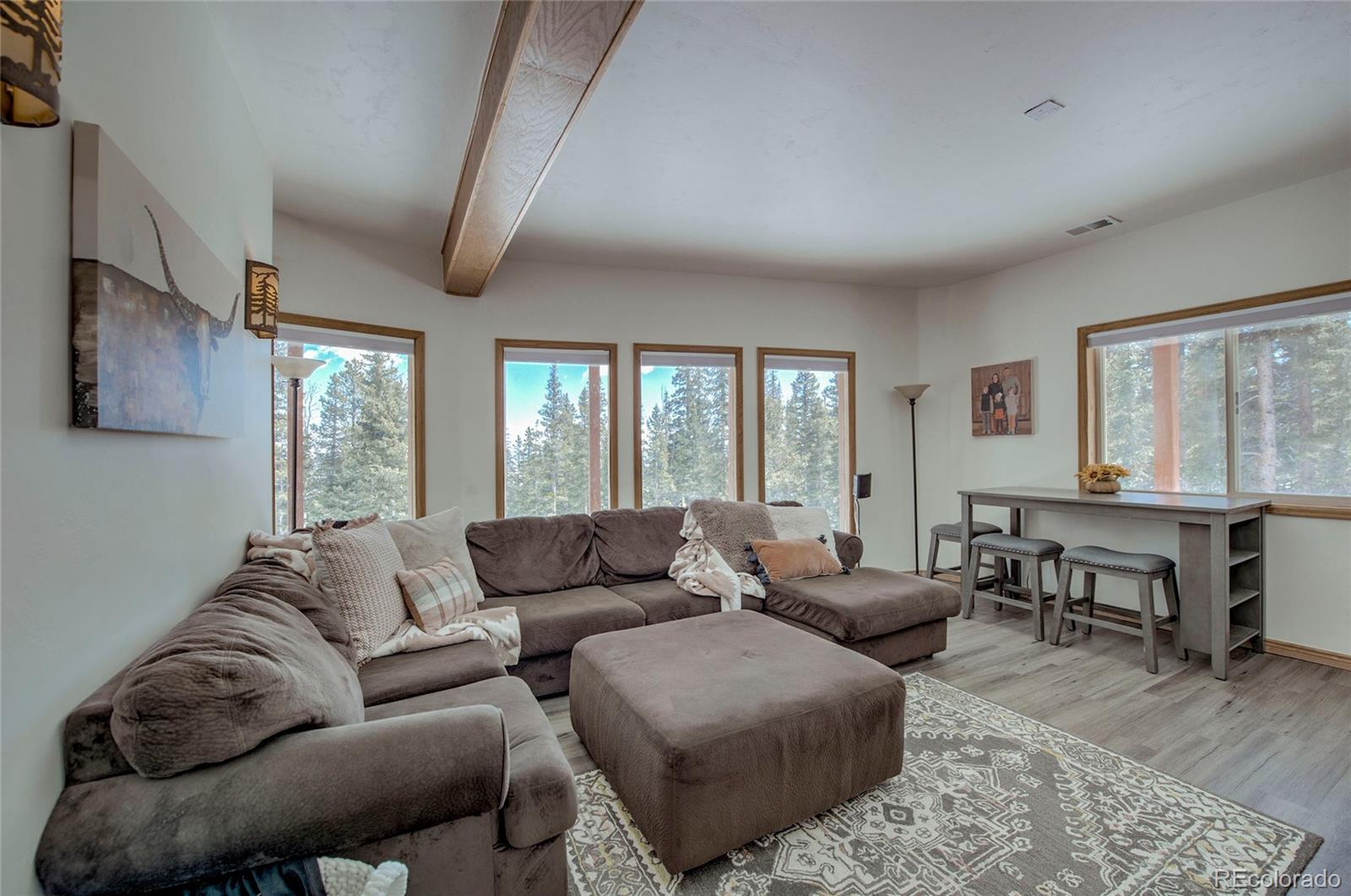 MLS Image #35 for 126  silverheels place,fairplay, Colorado