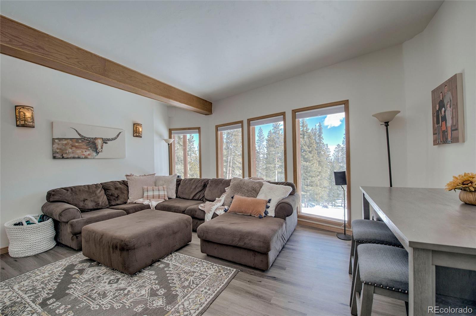 MLS Image #36 for 126  silverheels place,fairplay, Colorado