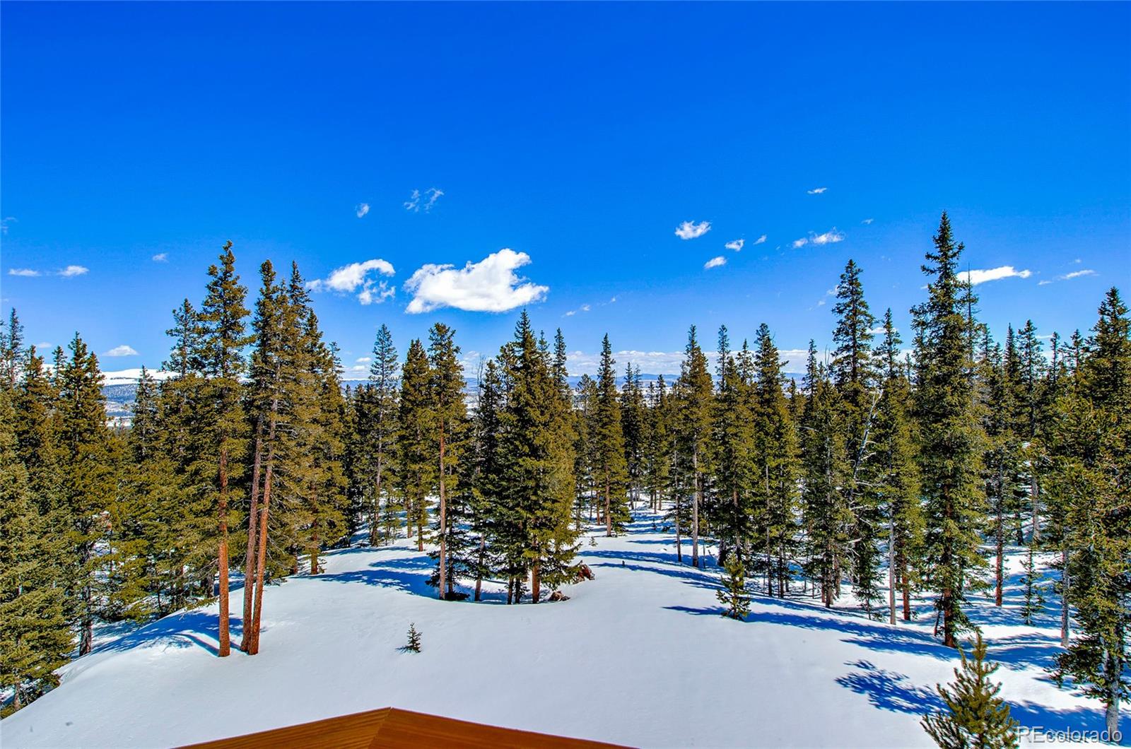 MLS Image #43 for 126  silverheels place,fairplay, Colorado