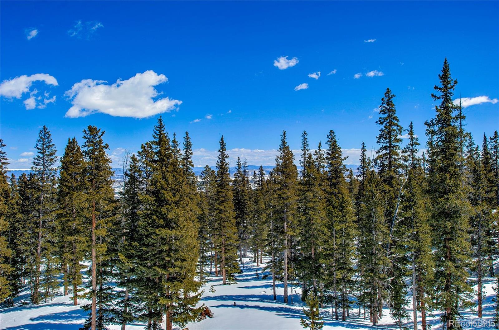 MLS Image #44 for 126  silverheels place,fairplay, Colorado