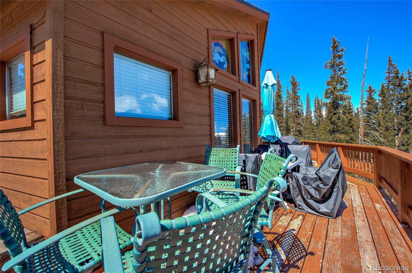 MLS Image #45 for 126  silverheels place,fairplay, Colorado