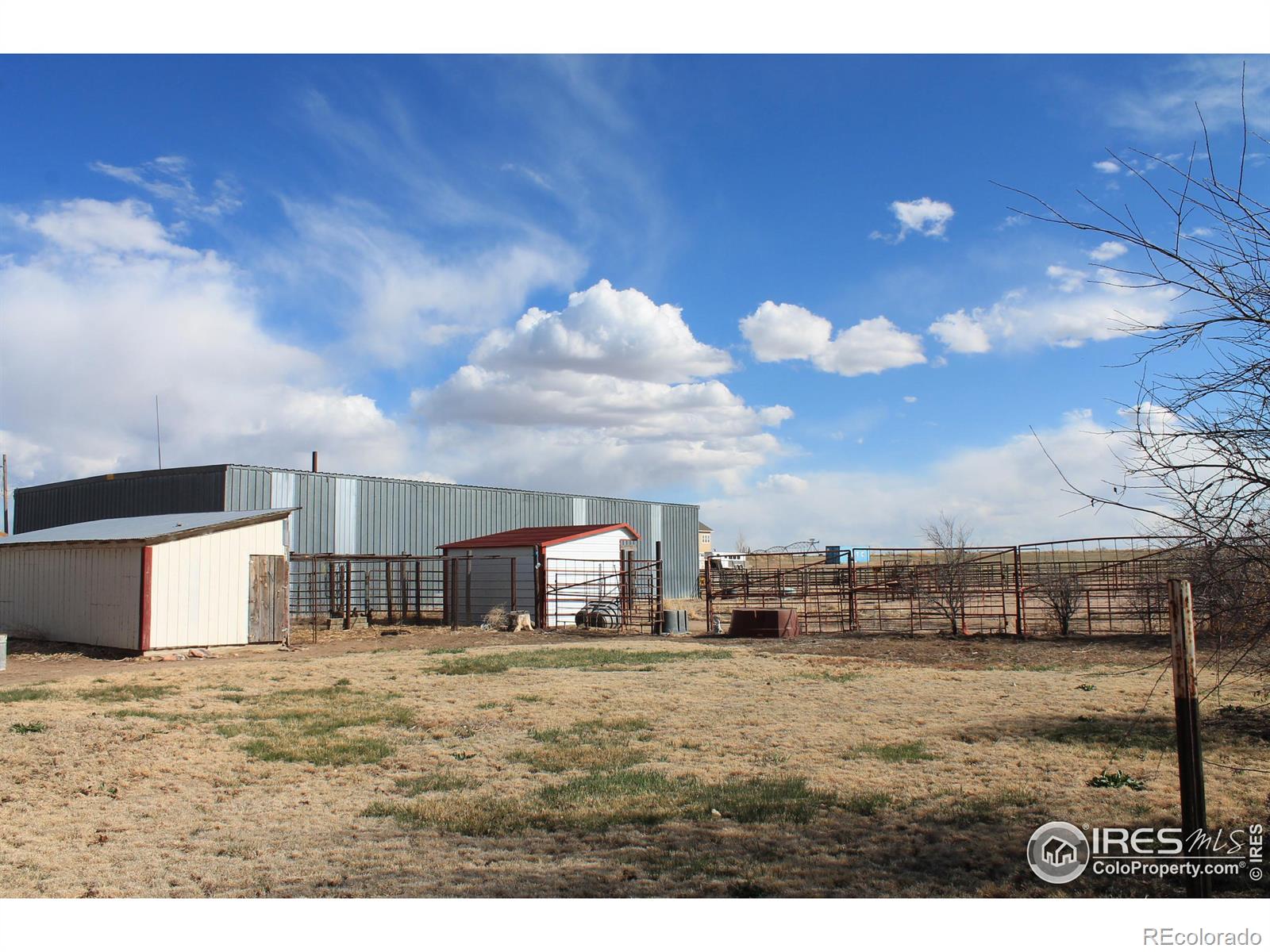 MLS Image #10 for 43646  county road 42.5 ,orchard, Colorado