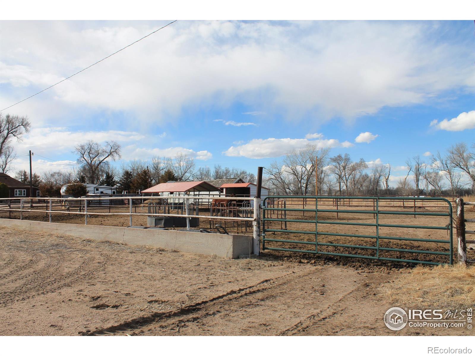 MLS Image #17 for 43646  county road 42.5 ,orchard, Colorado