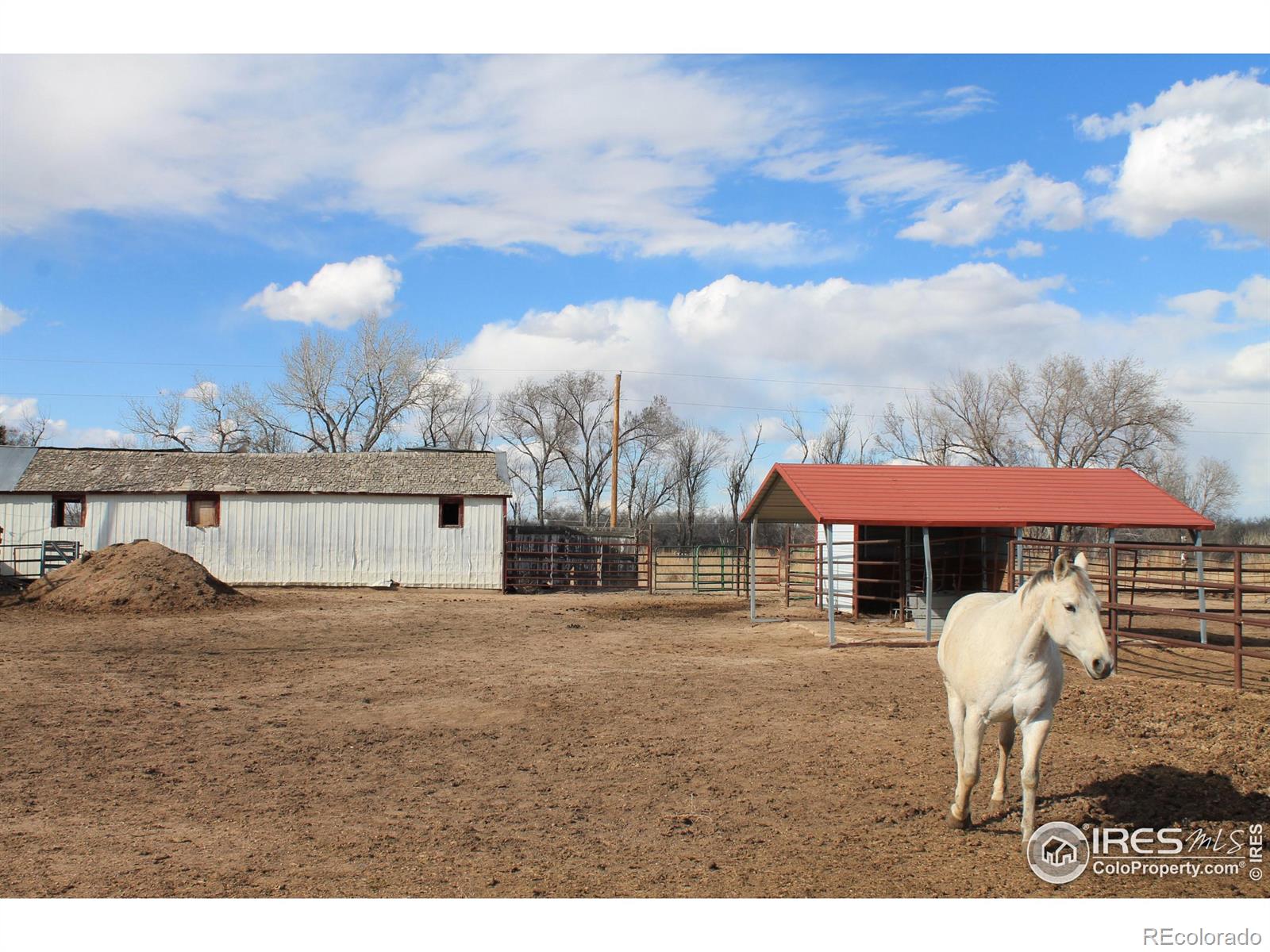 MLS Image #19 for 43646  county road 42.5 ,orchard, Colorado