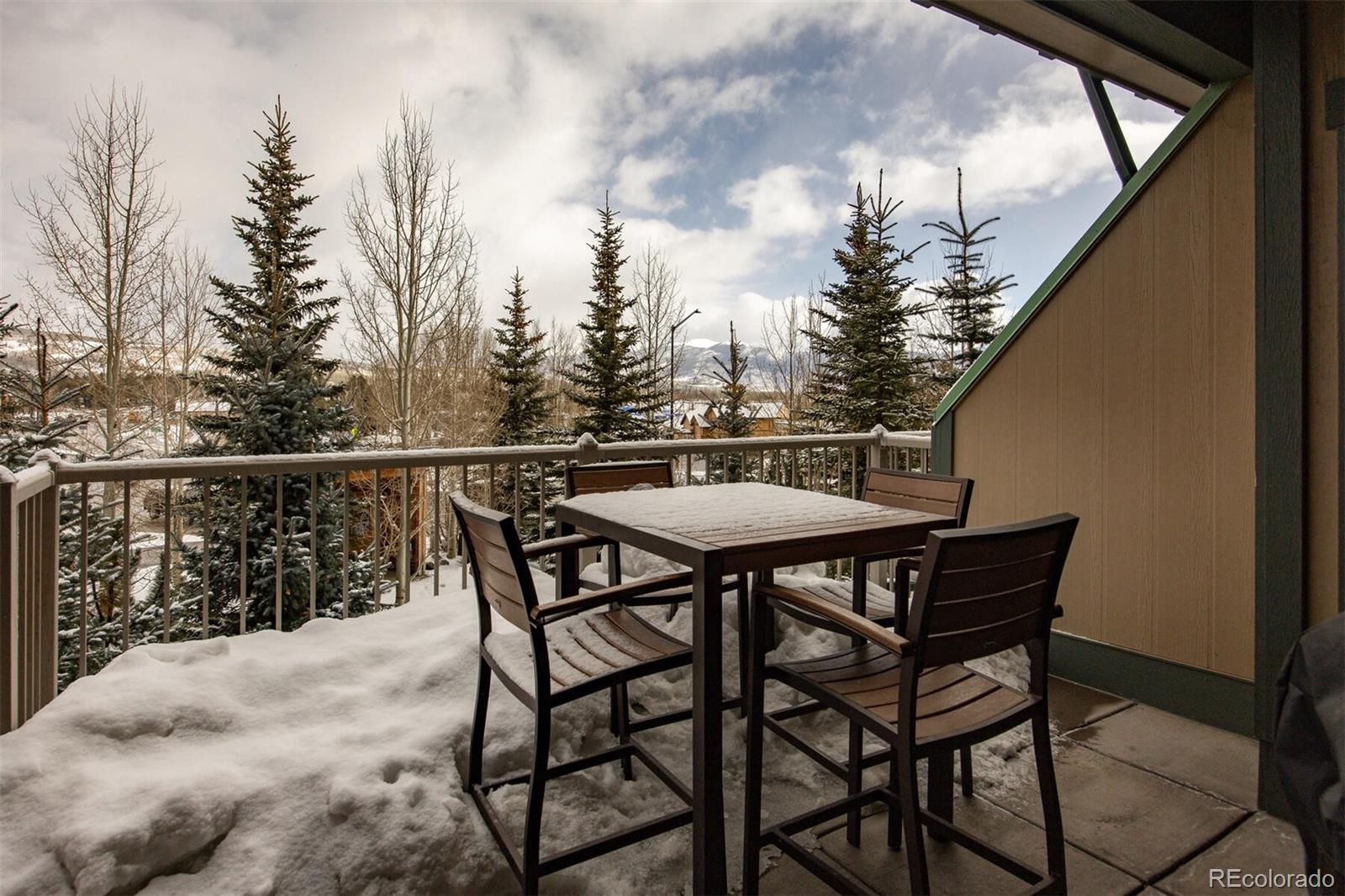 MLS Image #31 for 310 s 8th avenue,frisco, Colorado