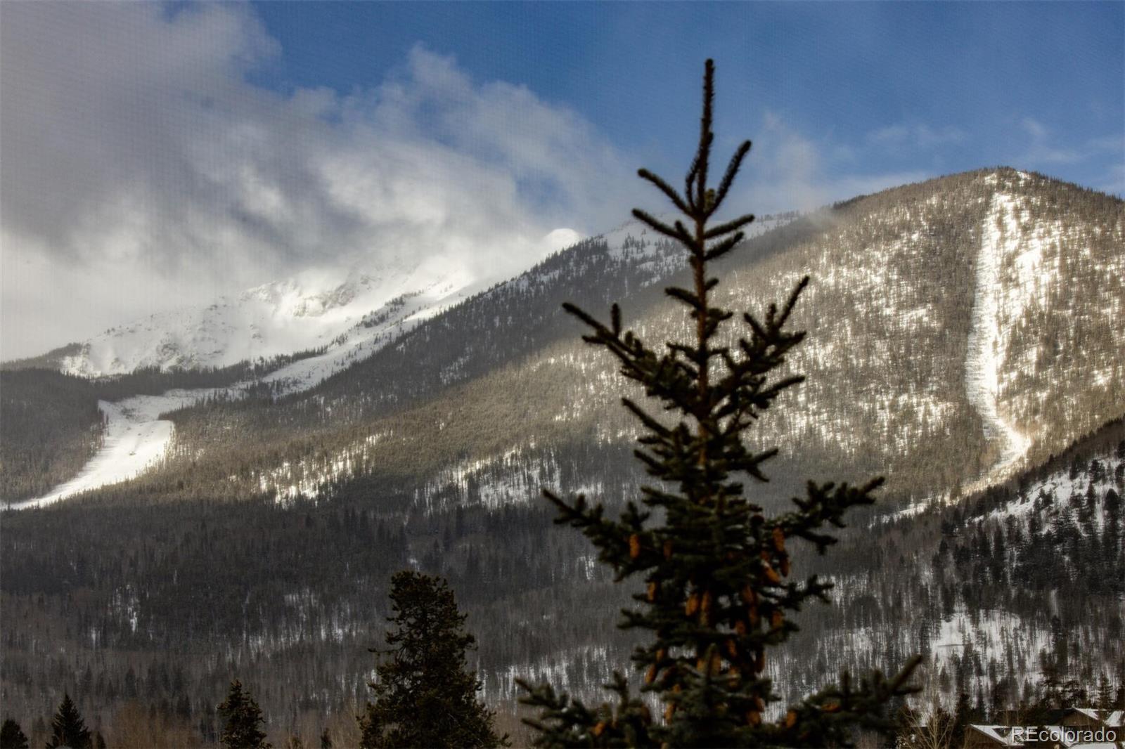 MLS Image #35 for 310 s 8th avenue,frisco, Colorado