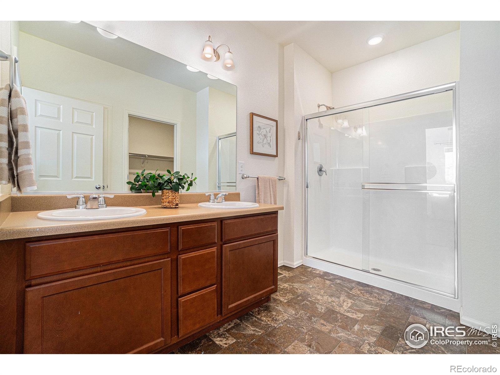 MLS Image #14 for 944  camberly drive,windsor, Colorado