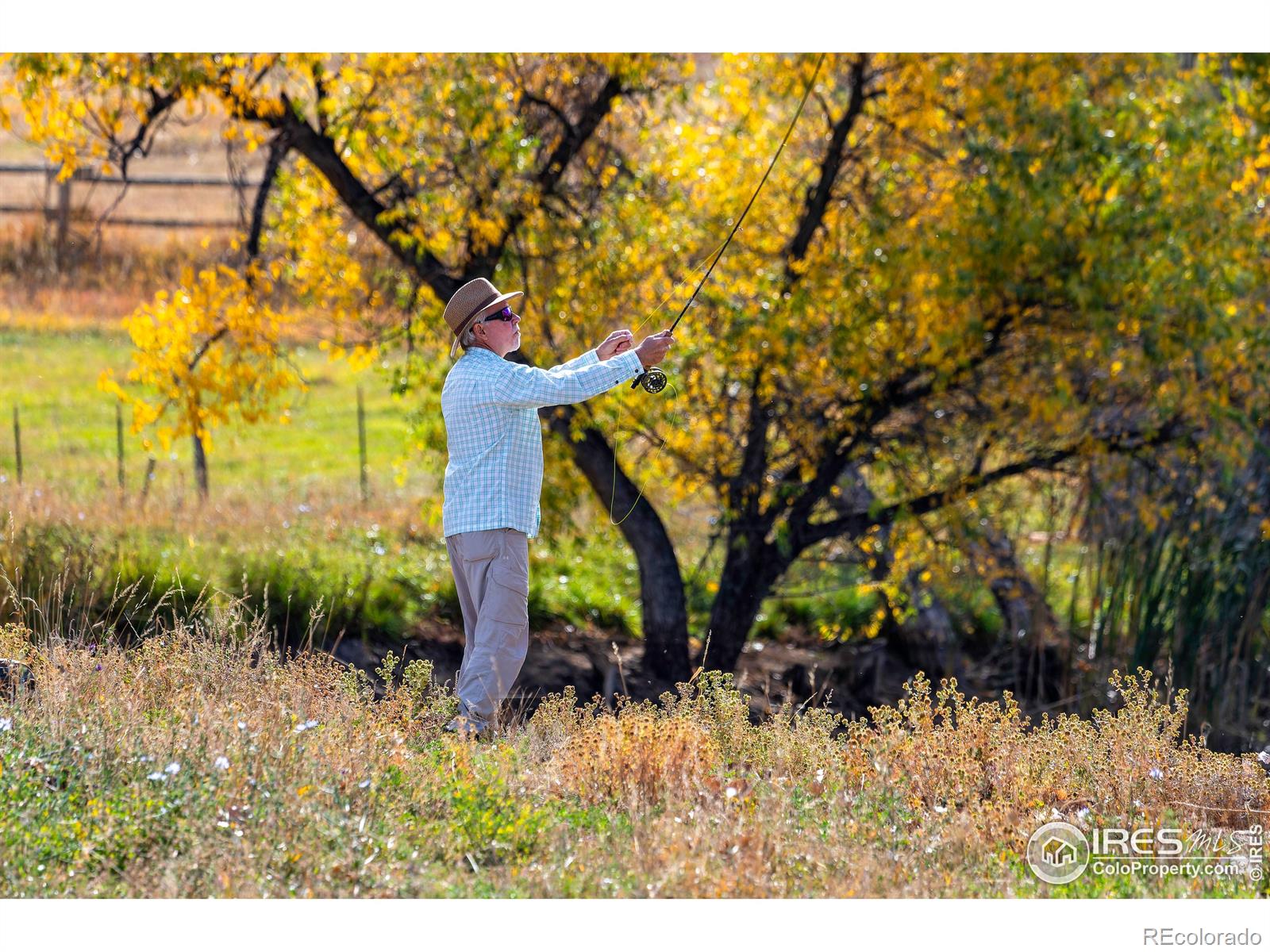 MLS Image #37 for 640 s 68th street,boulder, Colorado